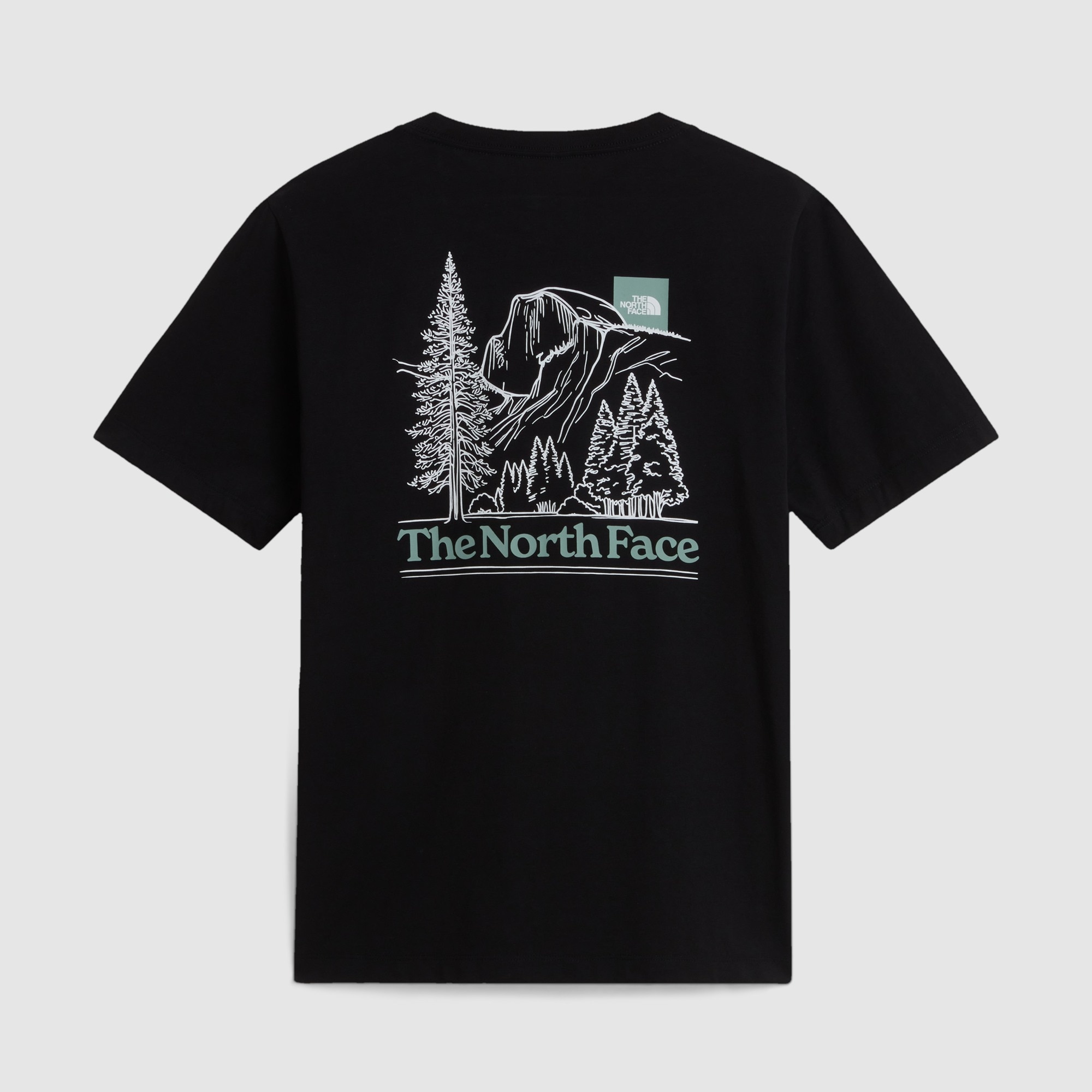 Camiseta recta con estampado gráfico para hombre Monte The North Face - Negro Negro-6