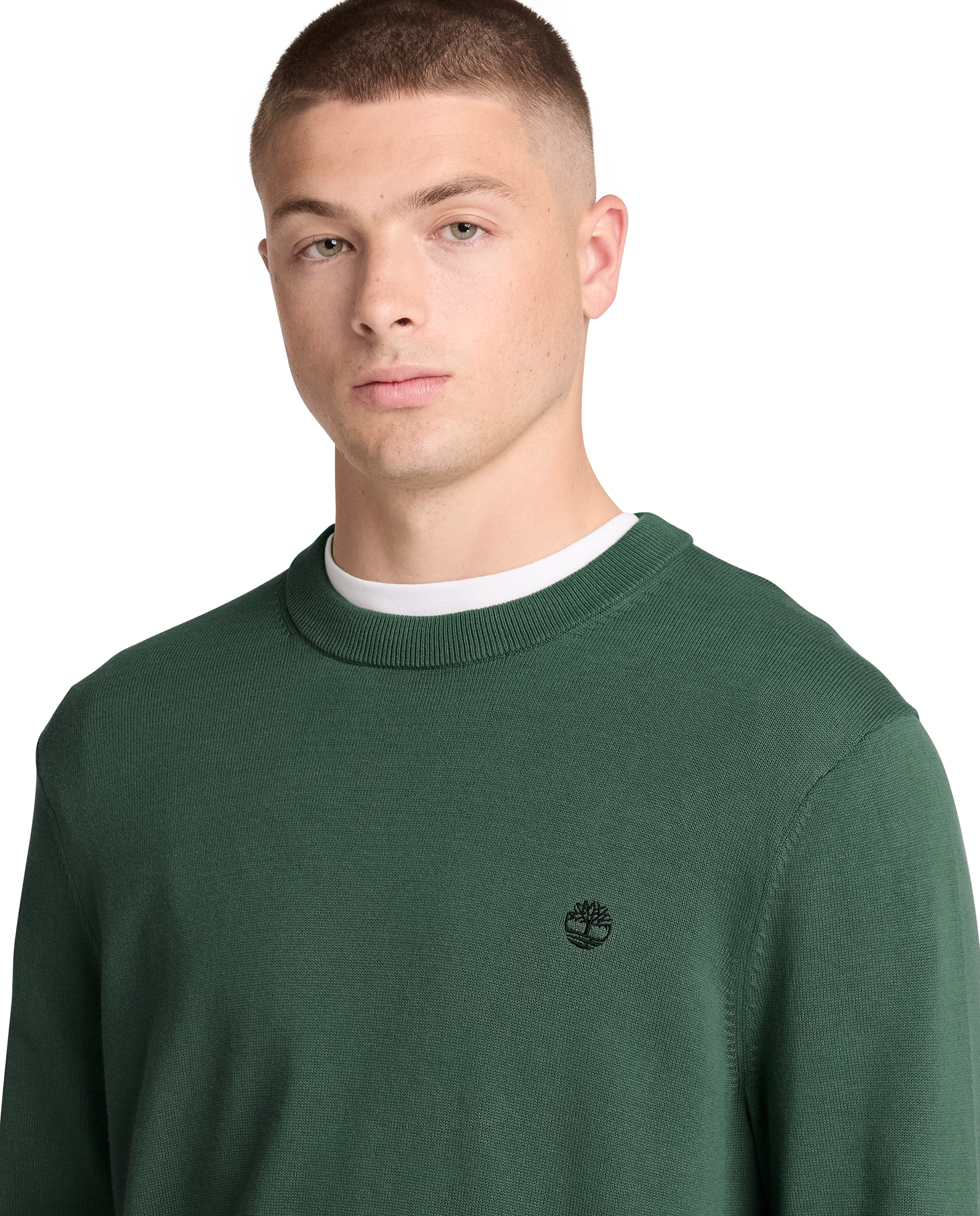 Jersey de hombre de cuello redondo de algodón williams river - Timberland - Verde oscuro Verde oscuro-3