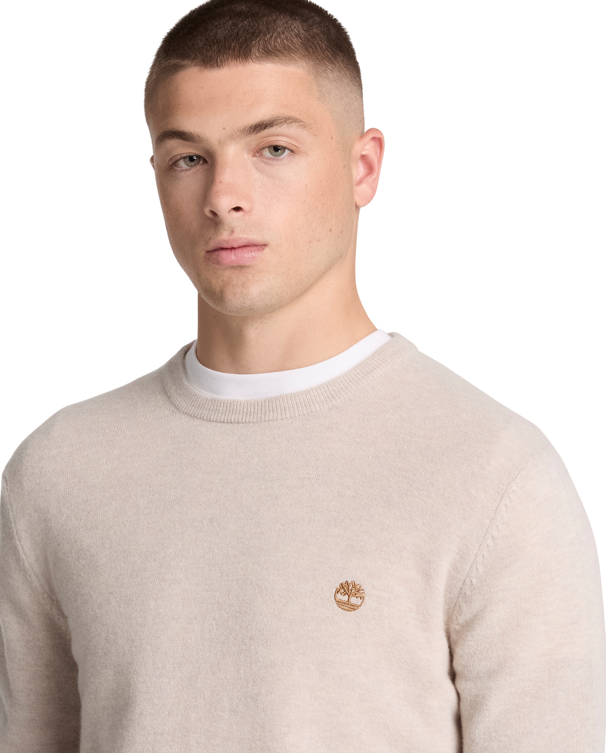 Imagen 3 de Jersey de hombre cuello redondo y lana merina cohas brook - Timberland - Beige Beige