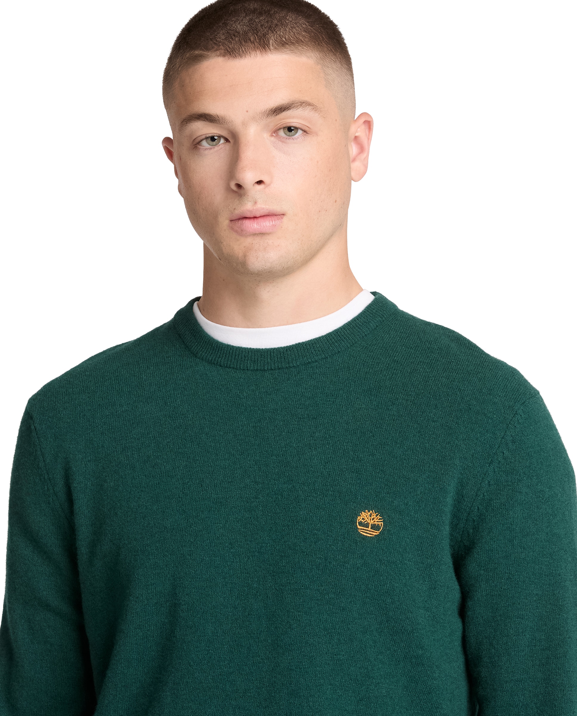 Imagen 3 de Jersey de hombre cuello redondo y lana merina cohas brook - Timberland - Verde oscuro Verde oscuro