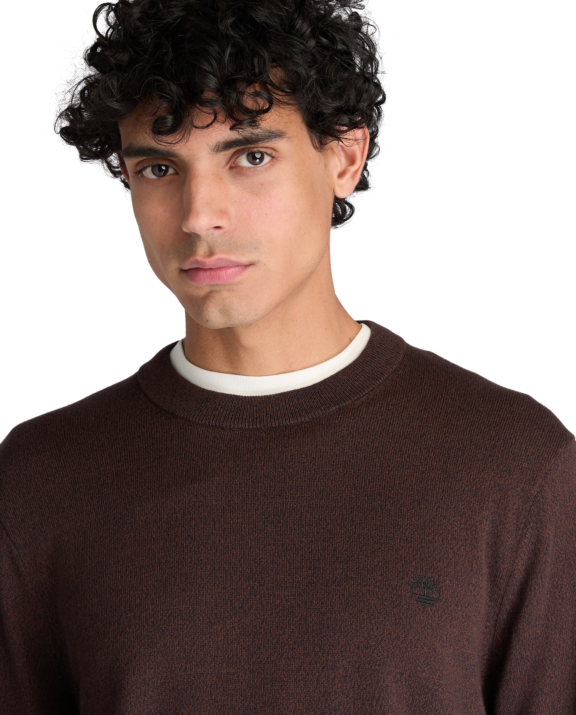 Jersey de hombre de cuello redondo de algodón williams river - Timberland - Marrón Marrón-3