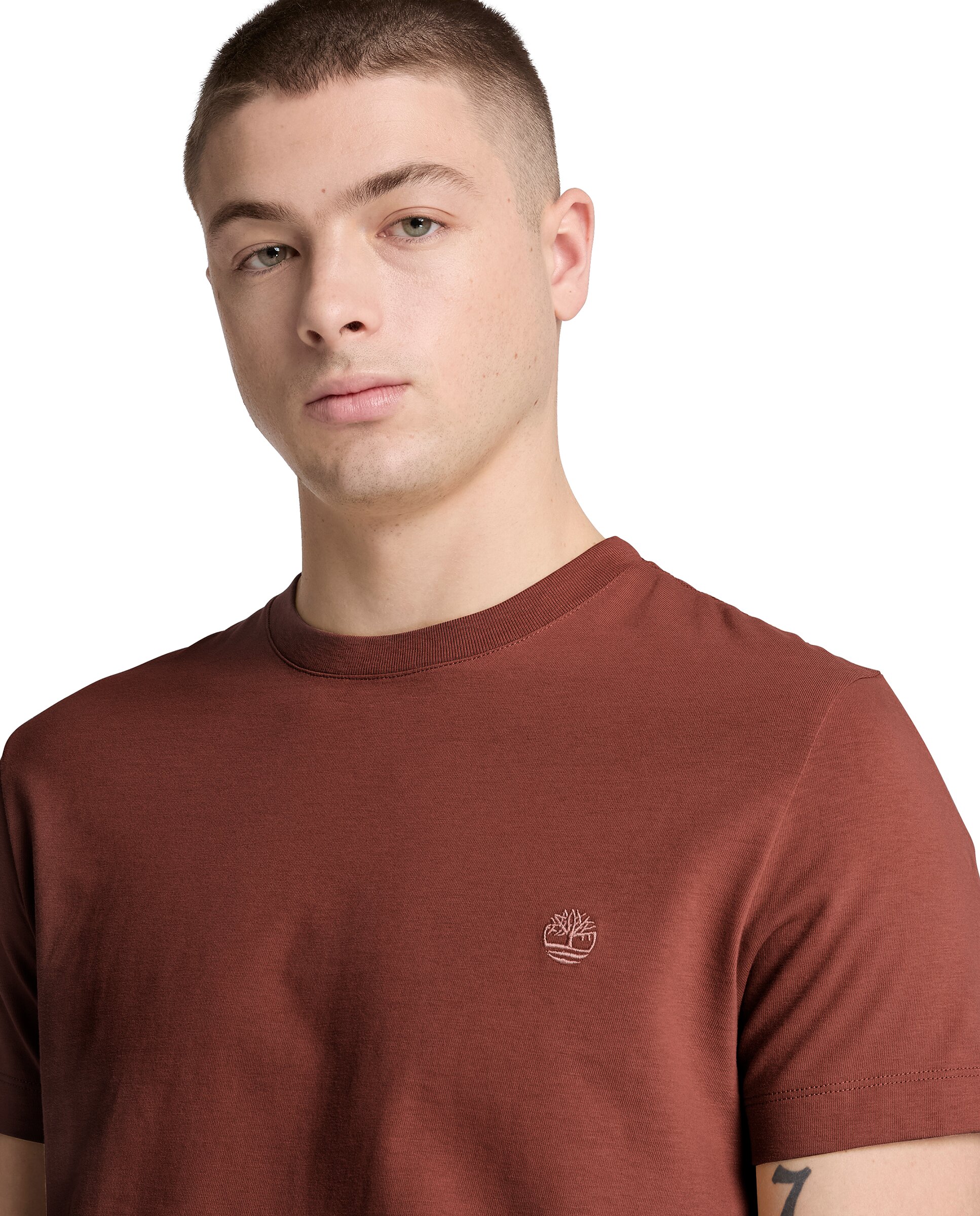 Camiseta de hombre de manga corta y corte entallado dunstan river - Timberland - Rojo Teja Rojo Teja-3