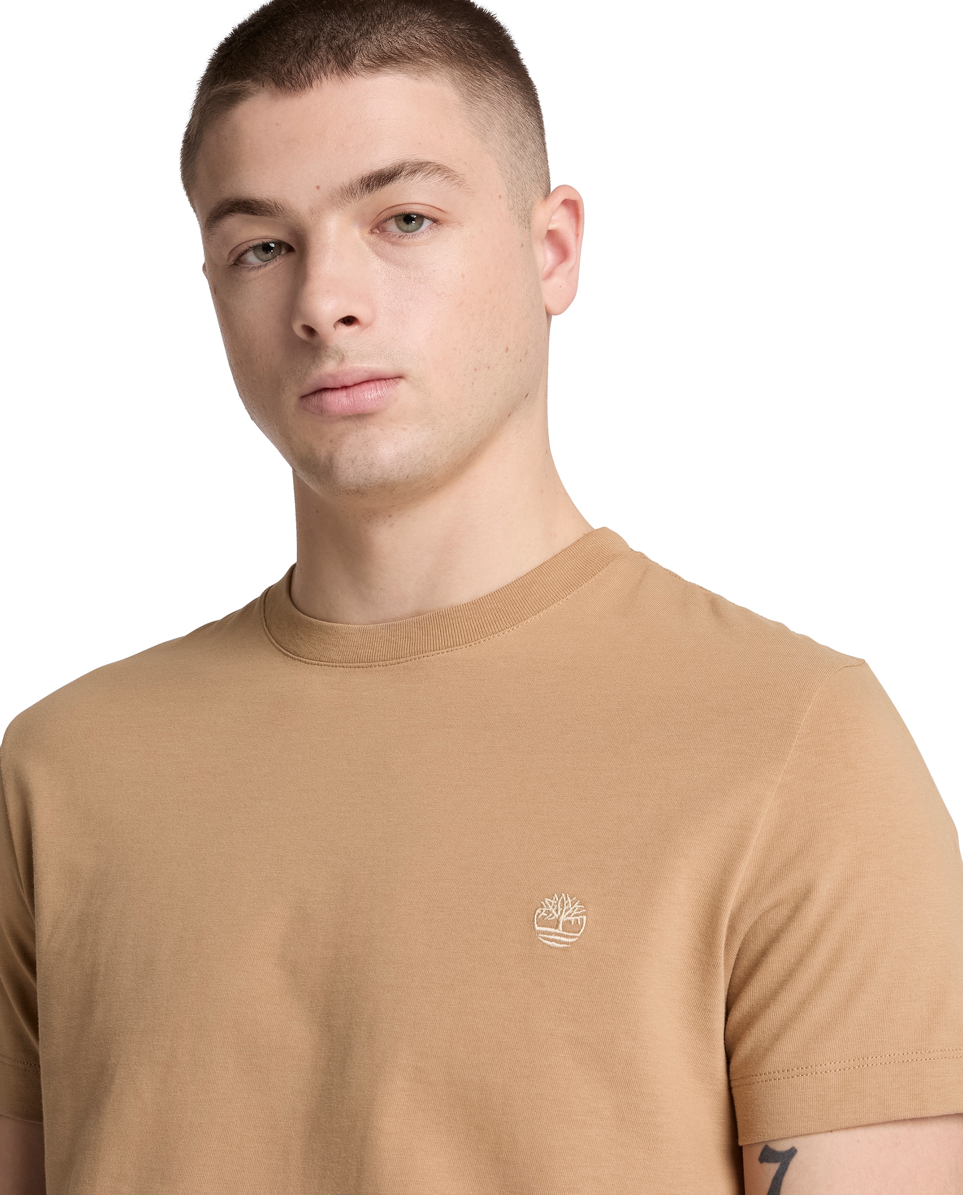 Camiseta de hombre de manga corta y corte entallado dunstan river - Timberland - Marrón claro Marrón claro-3