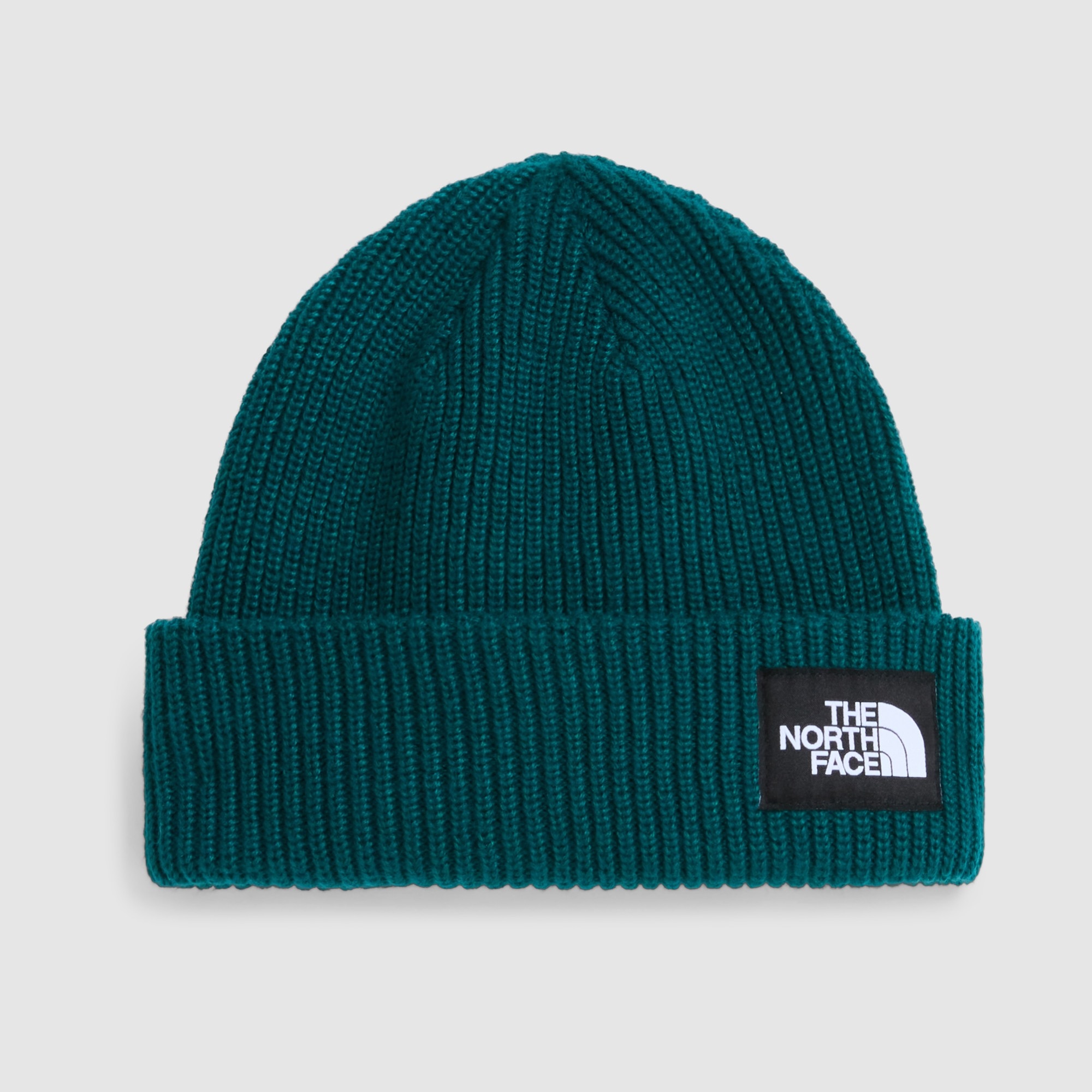 Imagen 1 de Gorro unisex Salty Lined The North Face Verde azulado