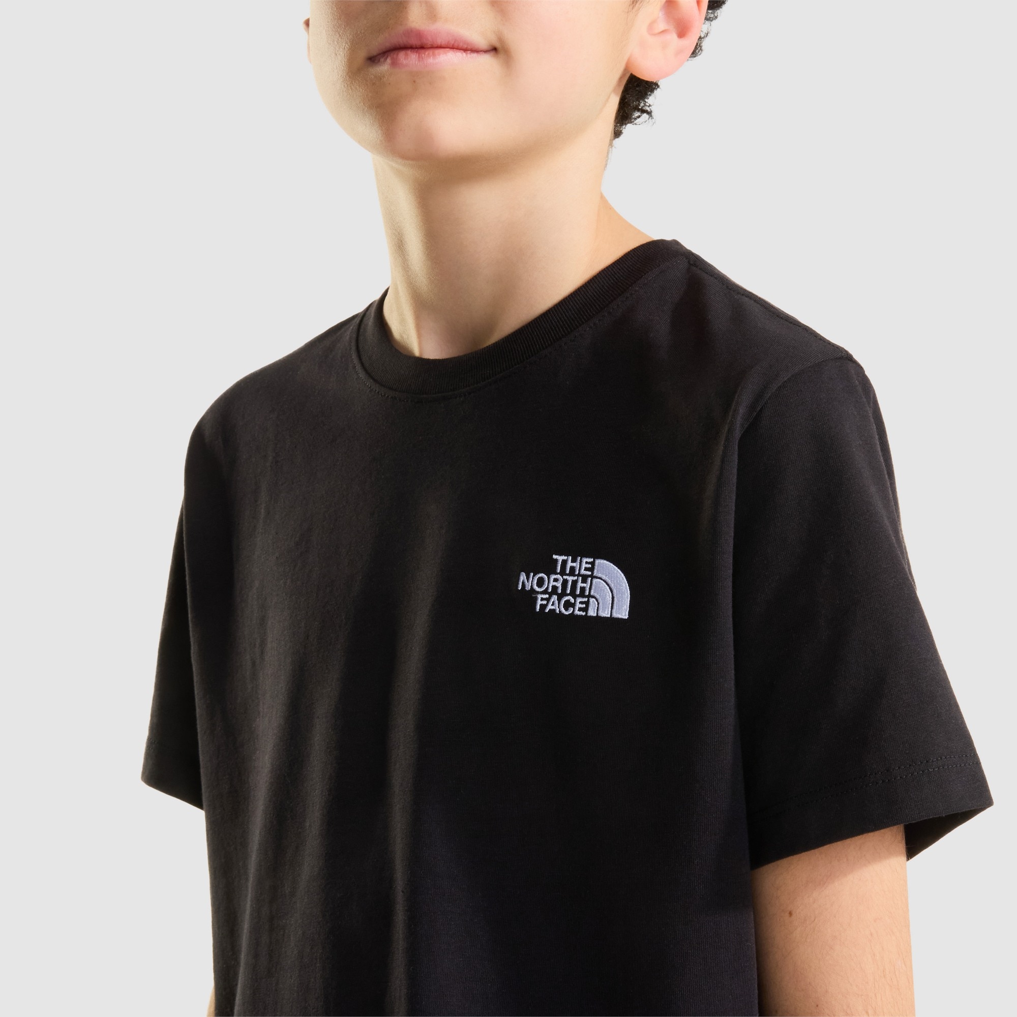 Camiseta Evolution Simple Dome para niño The North Face - Negro Negro-4