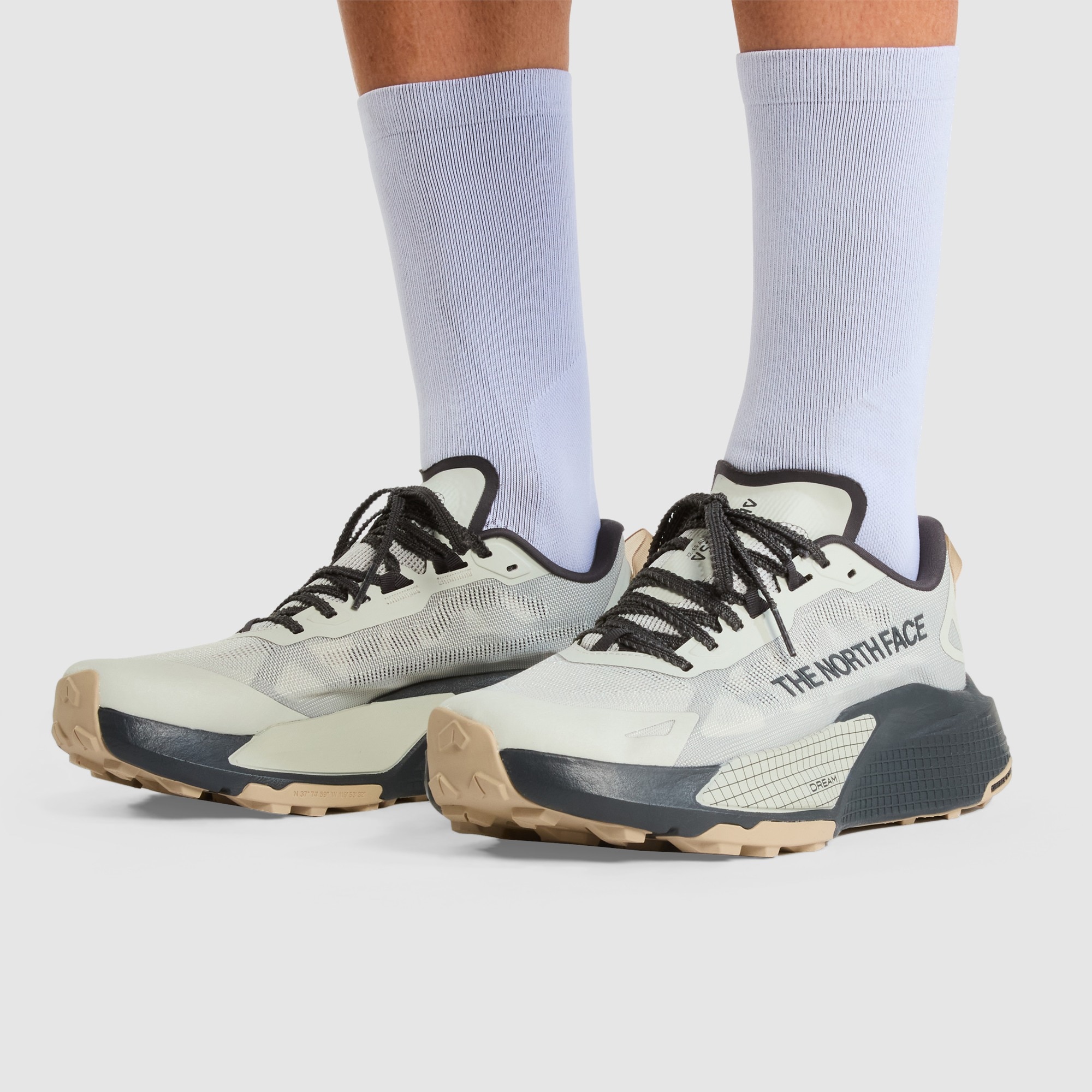 Zapatillas de trail running de hombre Altamesa 500 V2 The North Face - Gris claro Gris claro-6