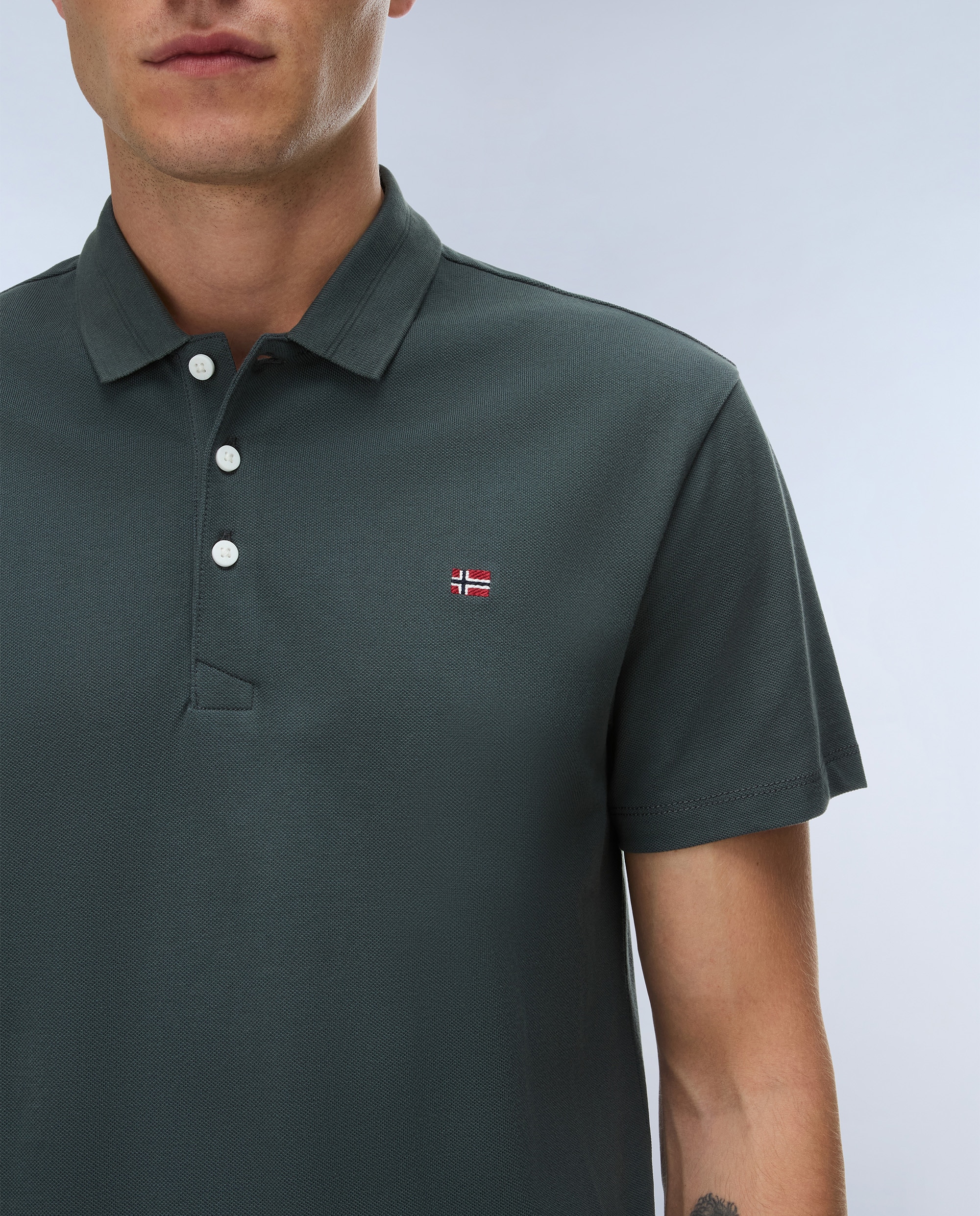 Polo de piqué y manga corta de hombre ealis de corte regular - Napapijri - Verde grisáceo Verde grisáceo-3