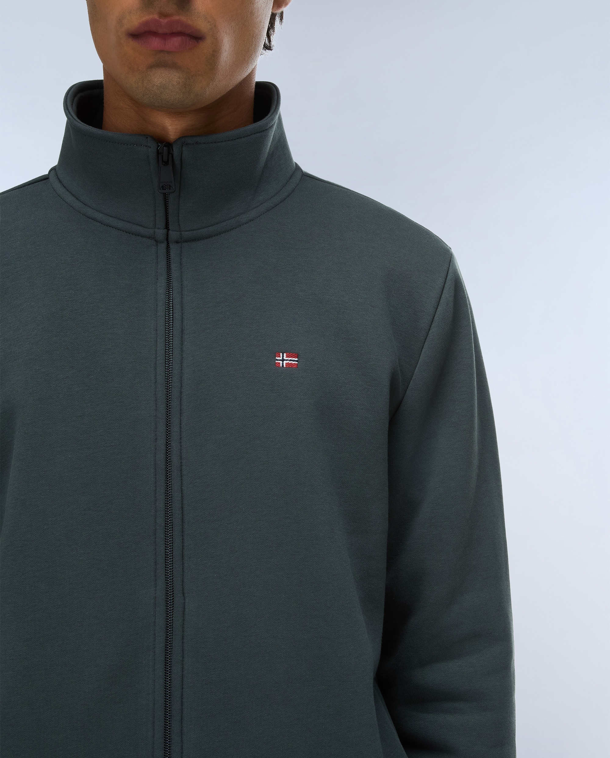 Sudadera de hombre balis fz win con cremallera completa - Napapijri - Verde grisáceo Verde grisáceo-4