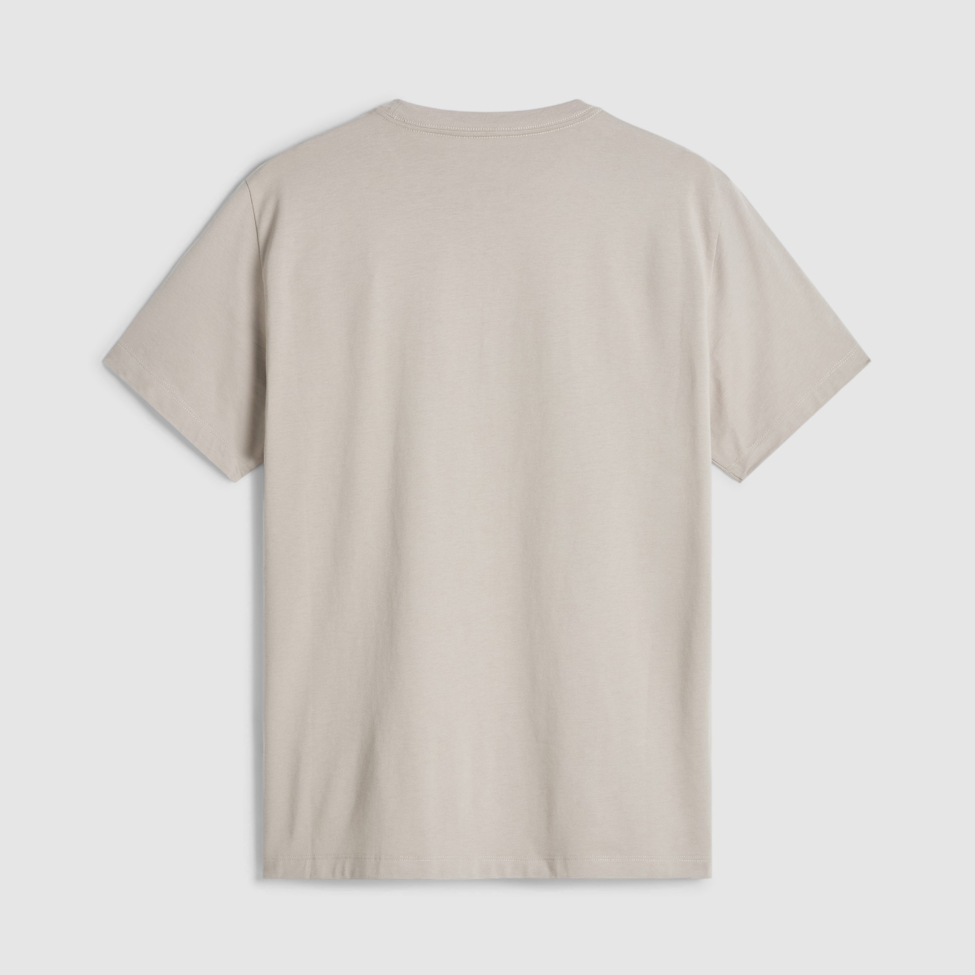 Imagen 6 de Camiseta recta para hombre Simple Dome Evolution The North Face - Beige Beige