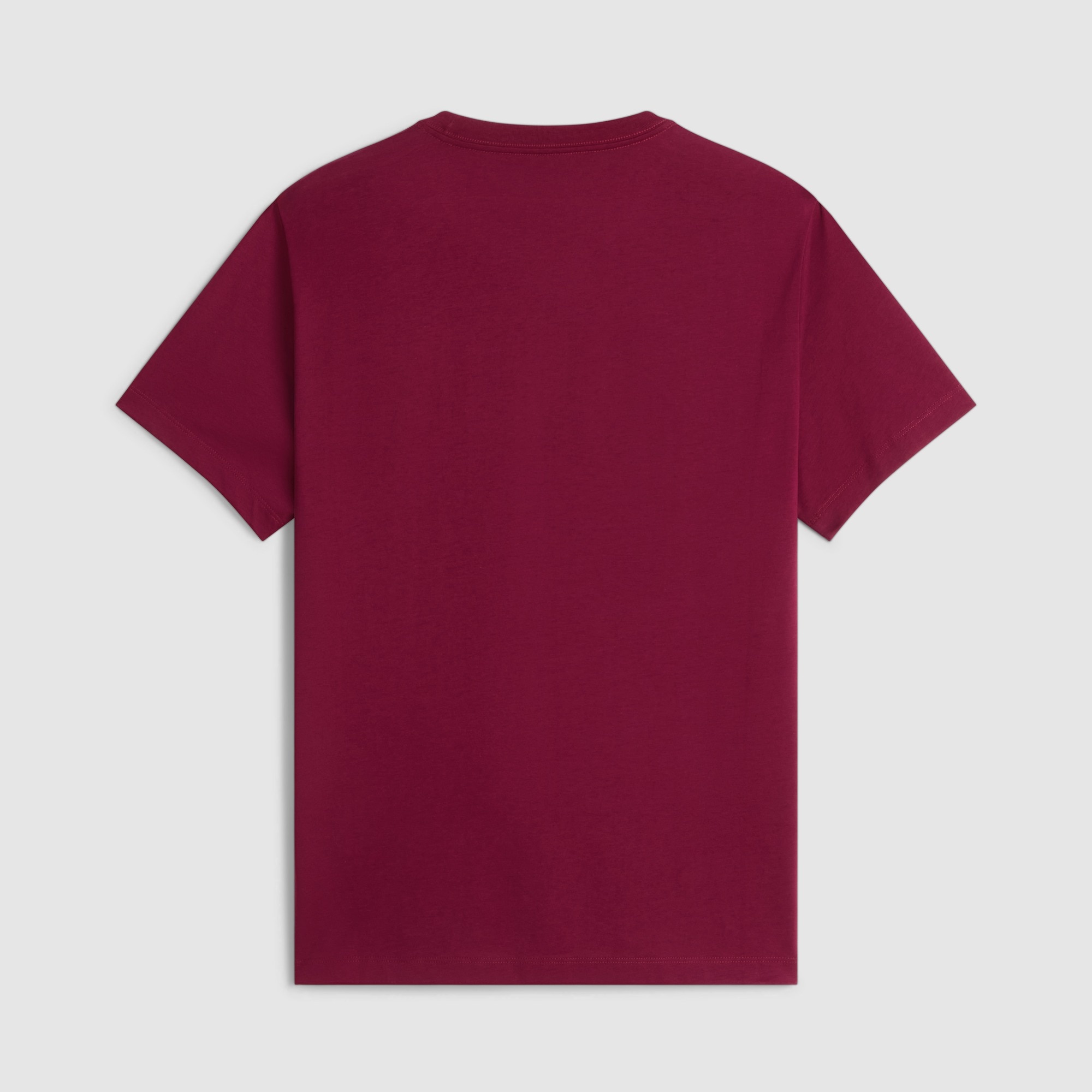 Imagen 6 de Camiseta recta para hombre Simple Dome Evolution The North Face - Burdeos Burdeos