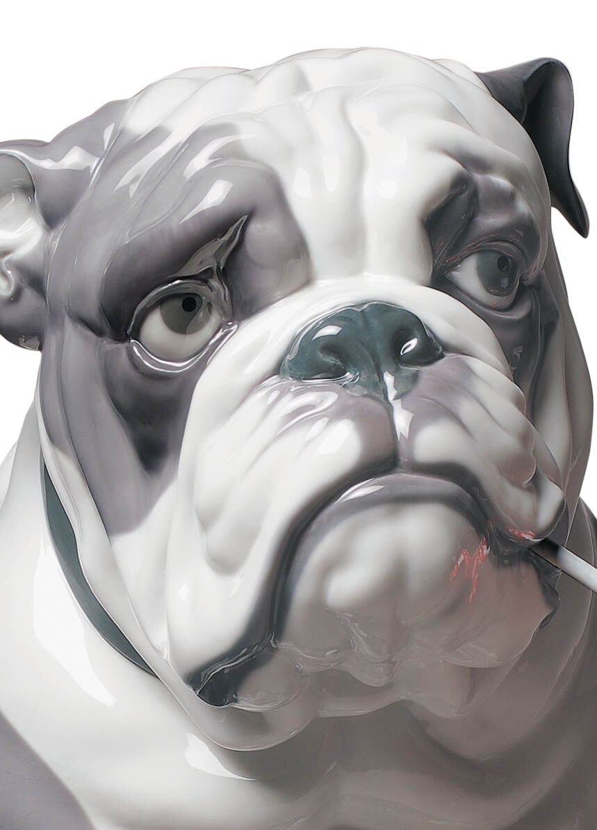 Figura Decorativa Perro Bulldog Inglés | Cerámica Blanca | Lata De Galletas | Old English Bulldog
