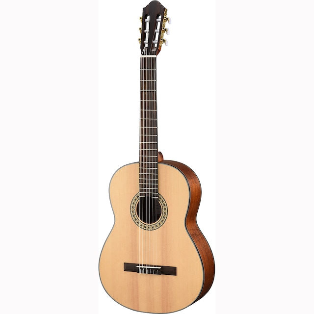 Imagen 0 de Guitarra electroacústica Walden WAN550E Natura 500