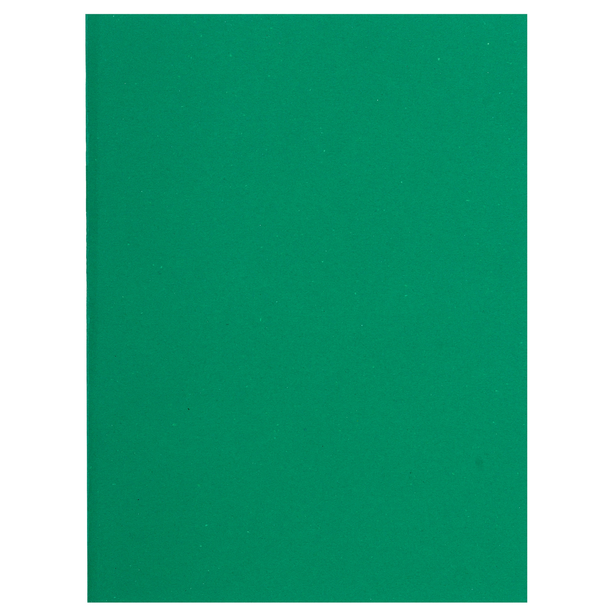 10 packs de 100 Subcarpetas de papel Flash - Exacompta 150004E - 80 g/m2.