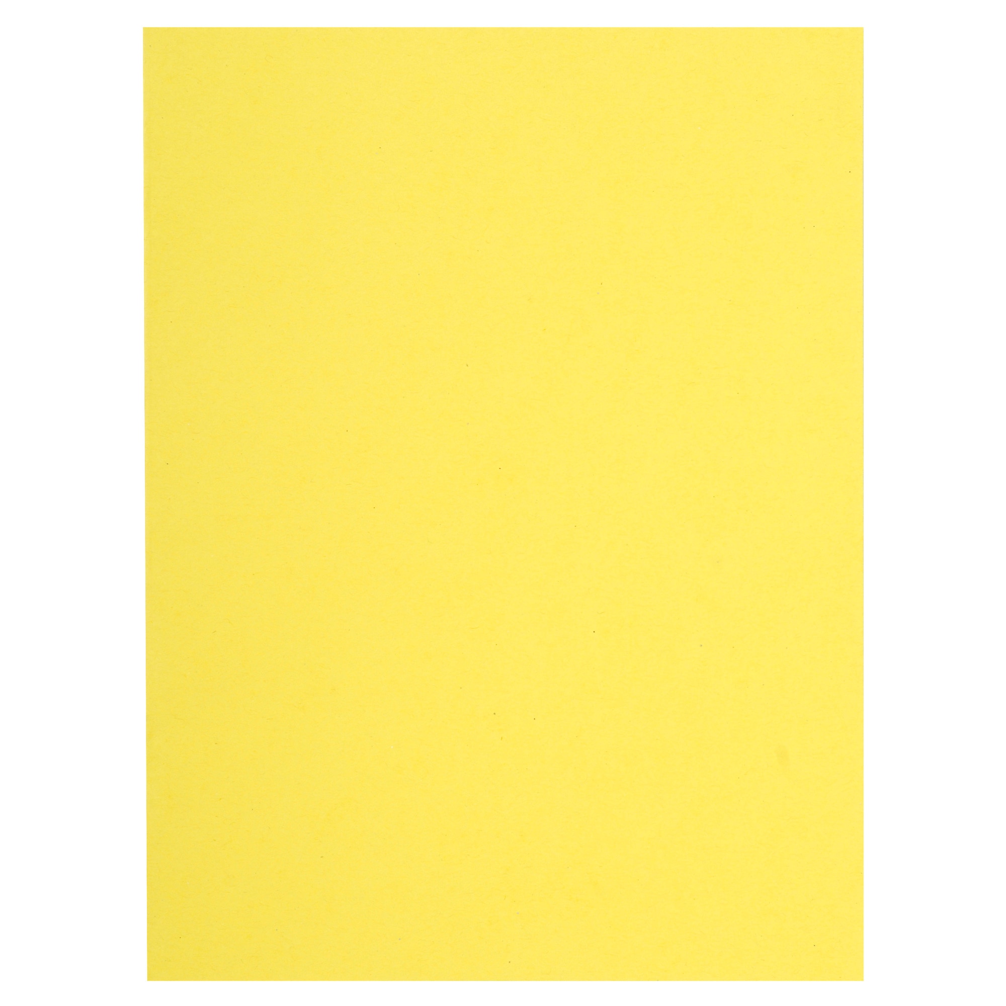 10 packs de 100 Subcarpetas de papel Flash - Exacompta 150005E - 80 g/m2.