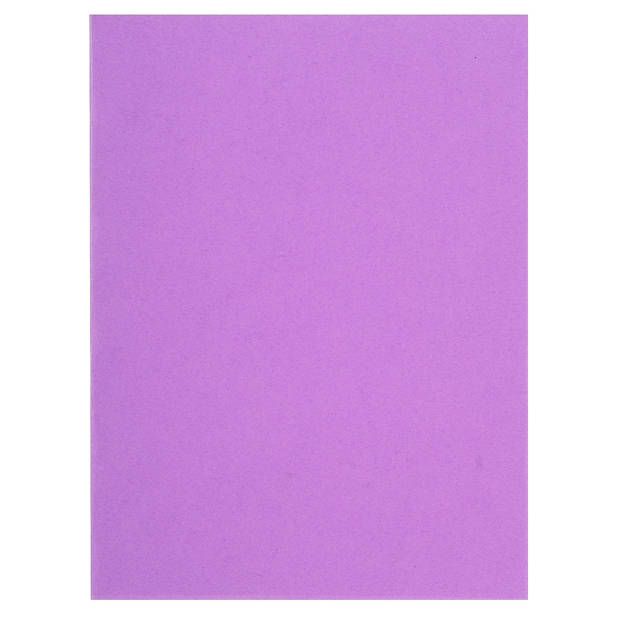 10 packs de 100 Subcarpetas de papel Flash - Exacompta 150008E - 80 g/m2.