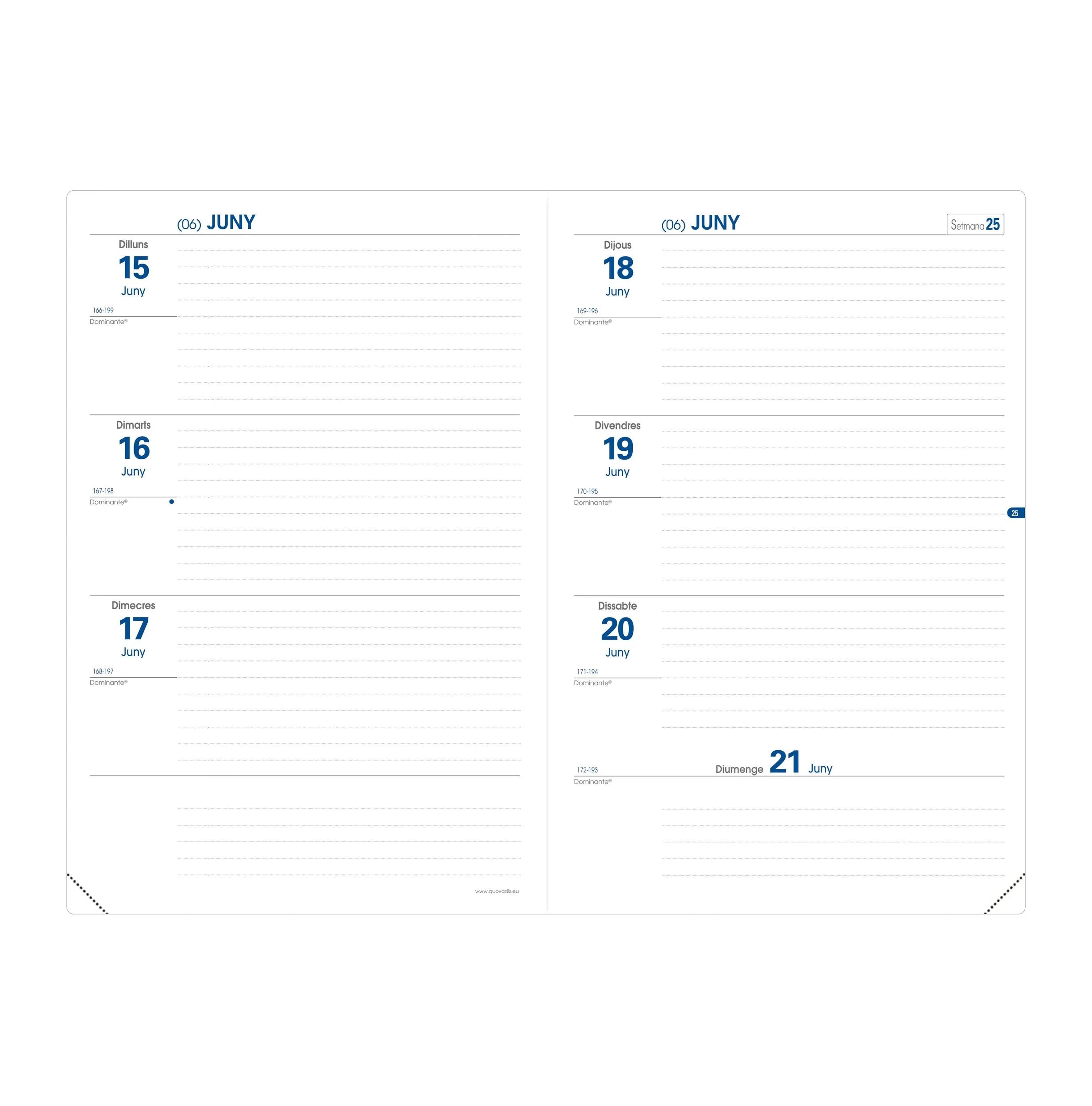 Recambio de Agenda Escolar TEXTHEBDO 26-27  CAT Semana vista A5+ 16x24cm , Blanco Blanco-5