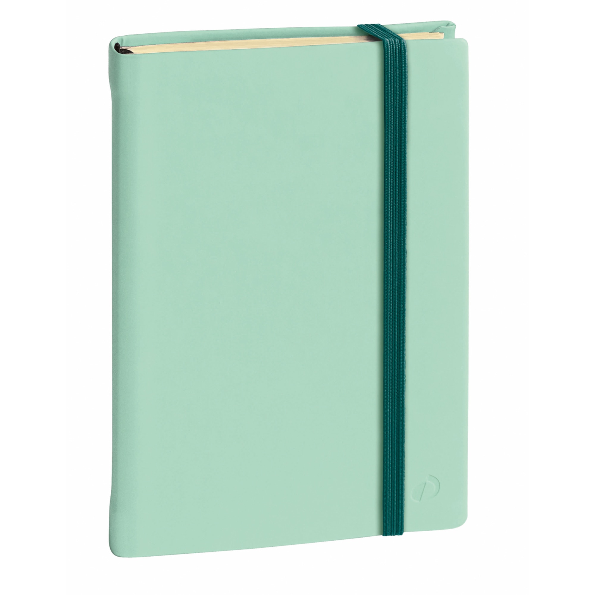 Cuaderno de notas SILK - Rayado horizontal, A5+ - 16x24cm - Quo Vadis 2371269Q - Verde.