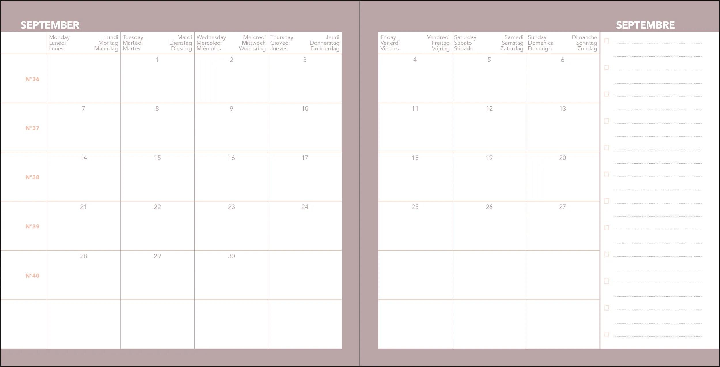 Agenda Escolar EXECUTIF COLOR 26-27  ML FESTY Semana vista 16x16cm , Verde Verde-3