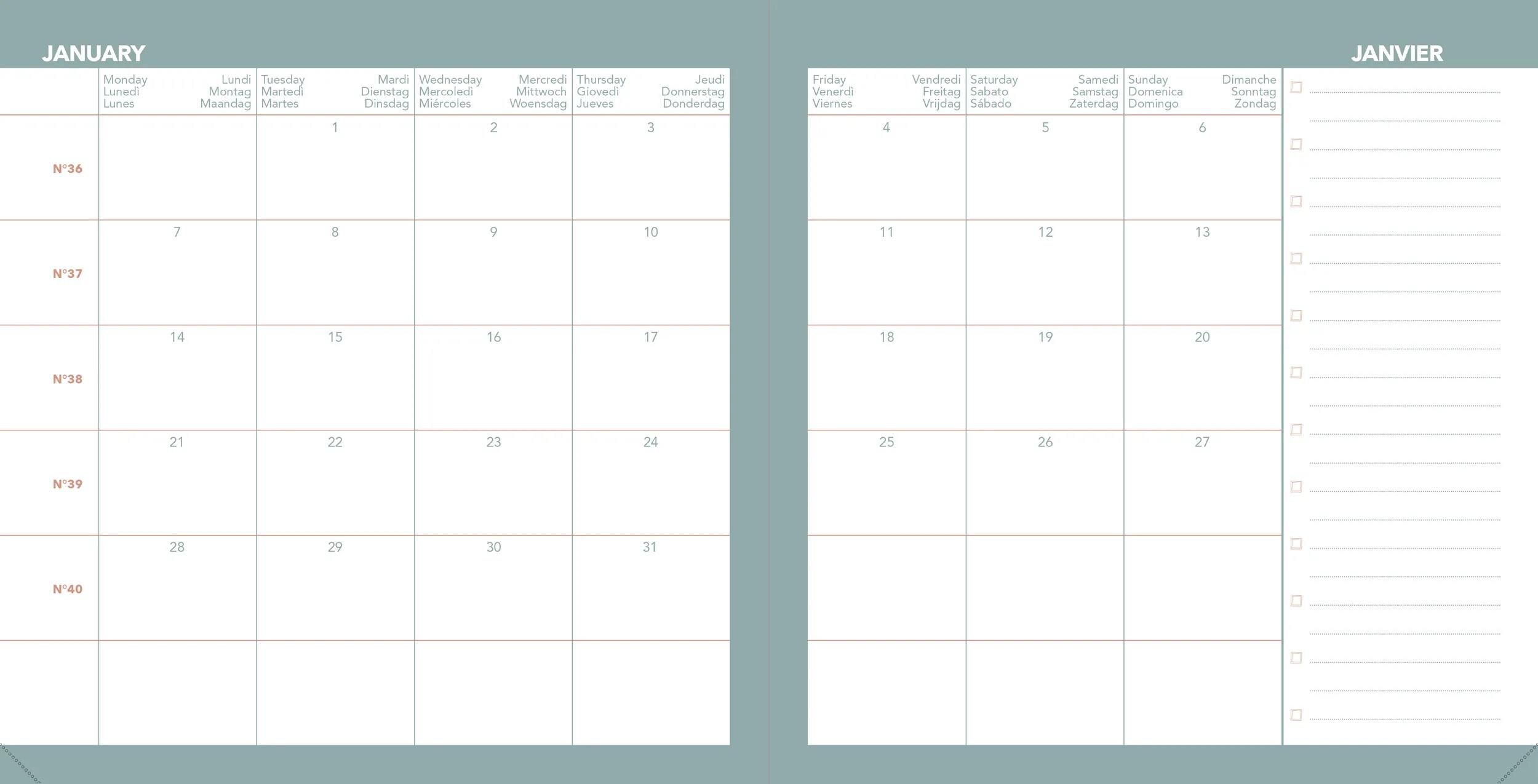 Agenda Escolar EXECUTIF COLOR 26-27  ML FESTY Semana vista 16x16cm , Verde Verde-6