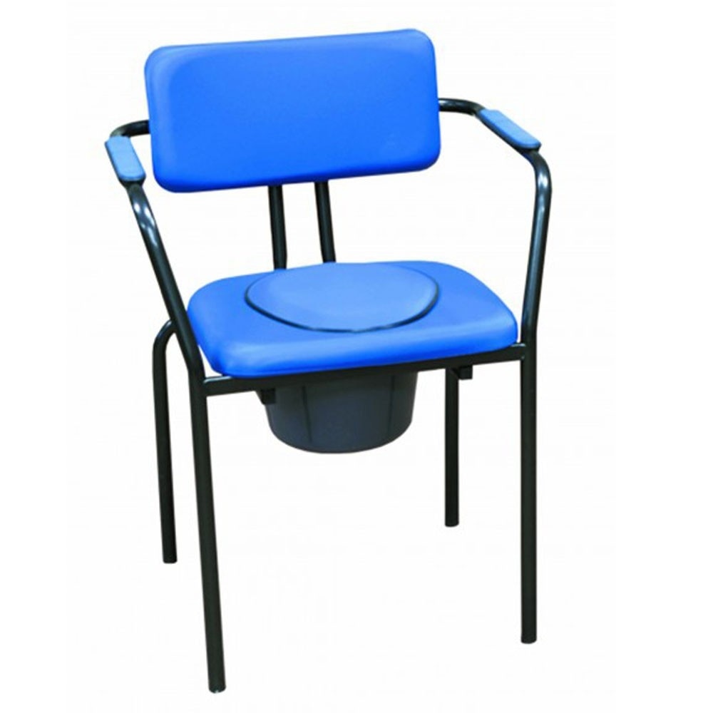 Silla con inodoro Herdegen 1