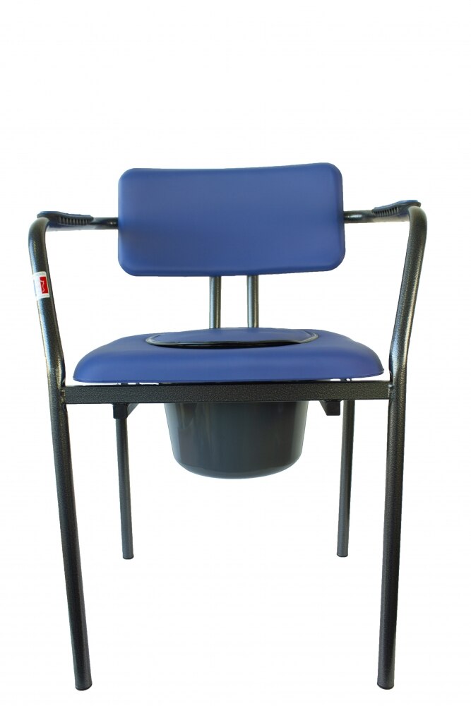 Silla con inodoro Herdegen 2