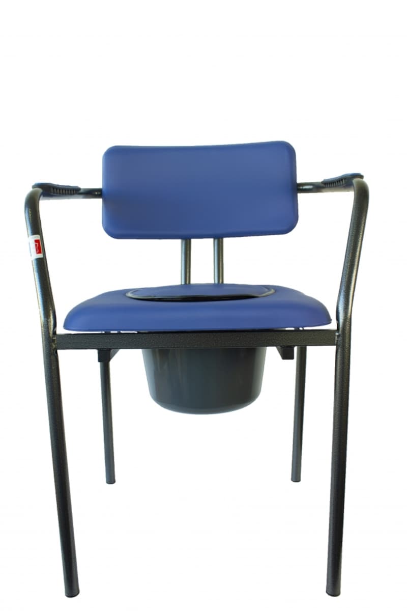 Silla con inodoro Herdegen 2
