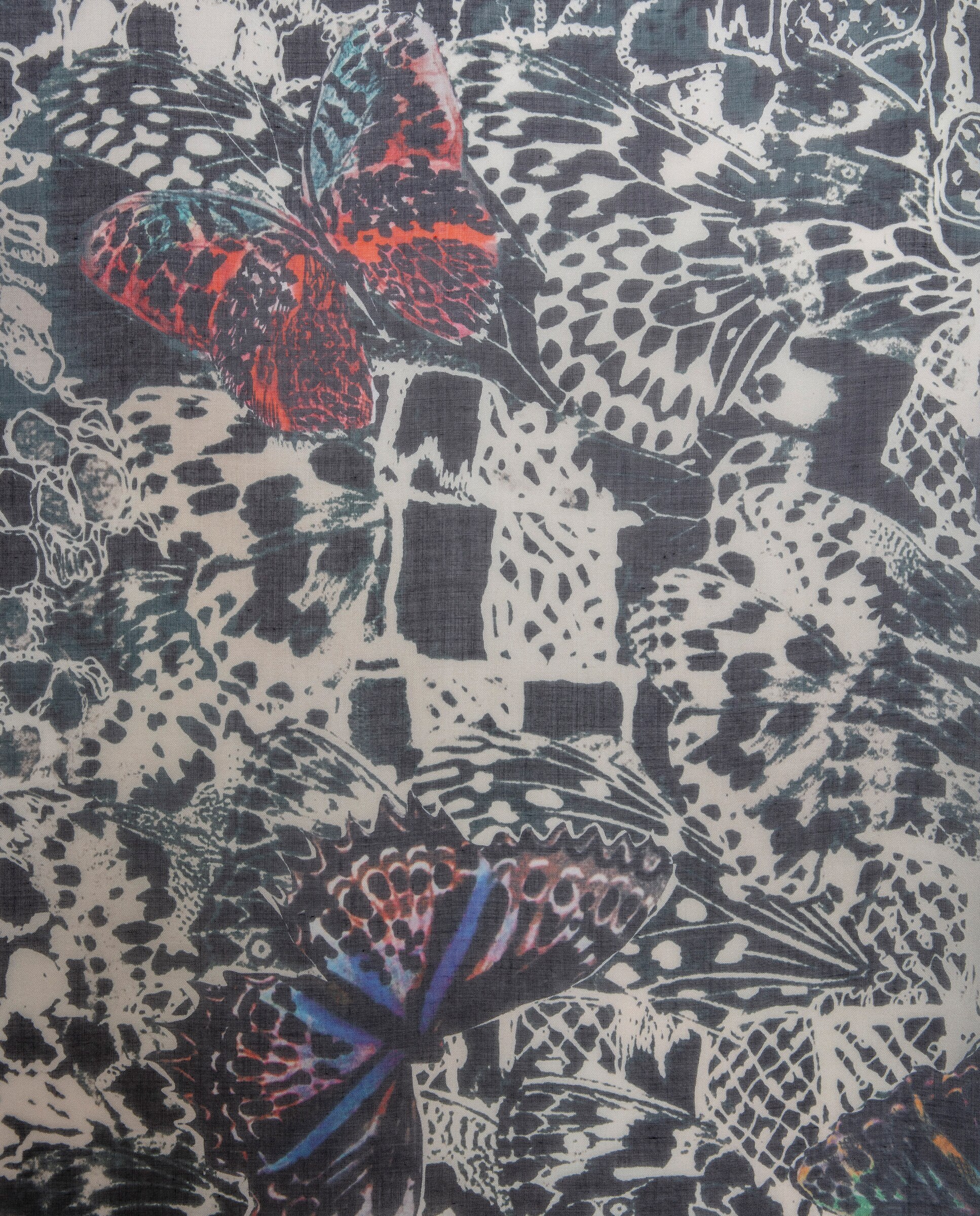 Pañuelo de mujer con estampado de mariposas - Zadig & Voltaire - Azul marino Azul marino-2