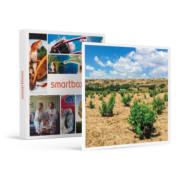 Imagen 0 de Smartbox De bodegas en Madrid: visita guiada y cata de vinos