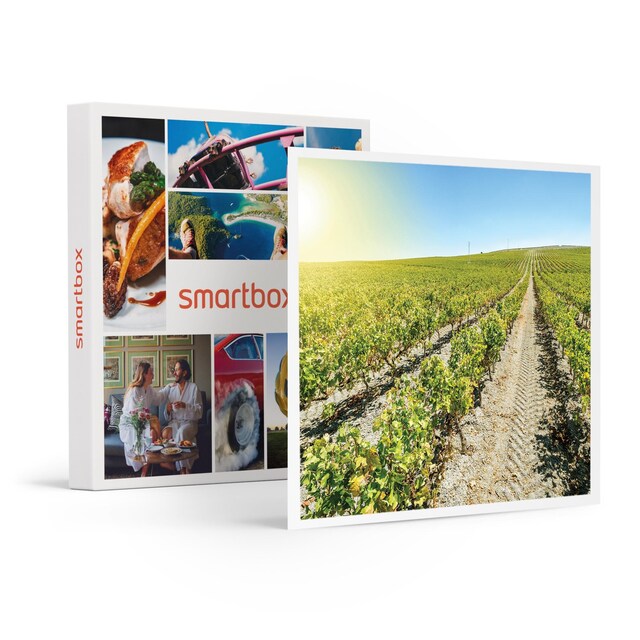 Imagen 0 de Smartbox Enoturismo en familia: curso de viticultura con cata y taller sensorial en Bodegas J. Miquel Jané