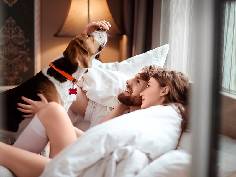 Smartbox ¡Escapada a hotel pet friendly! 1 noche para 2 adultos y mascota 3