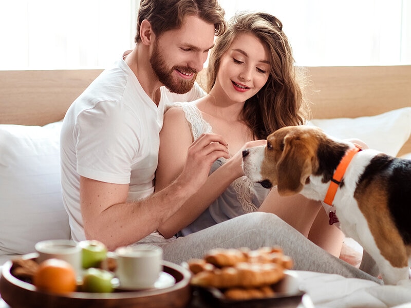 Smartbox ¡Escapada a hotel pet friendly! 1 noche para 2 adultos y mascota 5