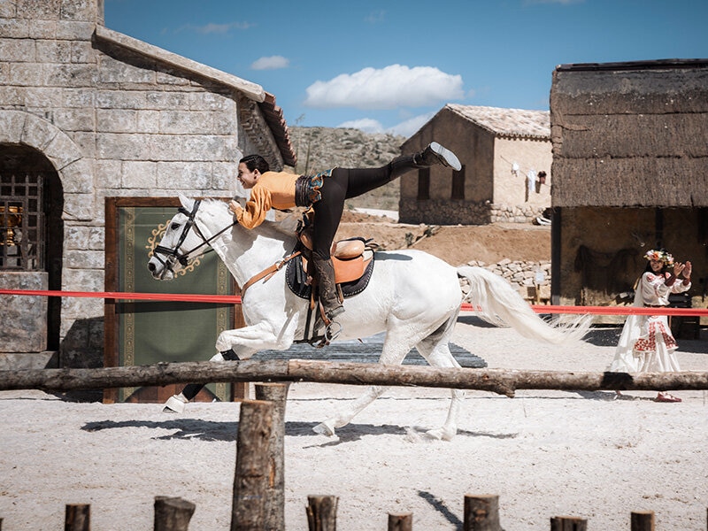 Smartbox Puy du Fou 3