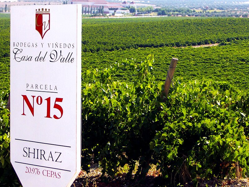 Smartbox Visita guiada y cata en Yepes en Bodegas y Viñedos Casa del Valle 3