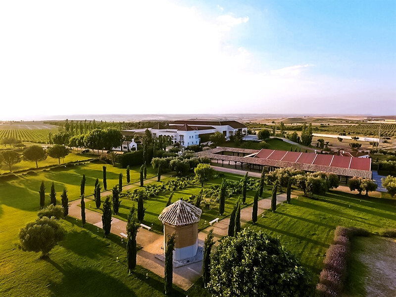 Smartbox Visita guiada y cata en Yepes en Bodegas y Viñedos Casa del Valle 5
