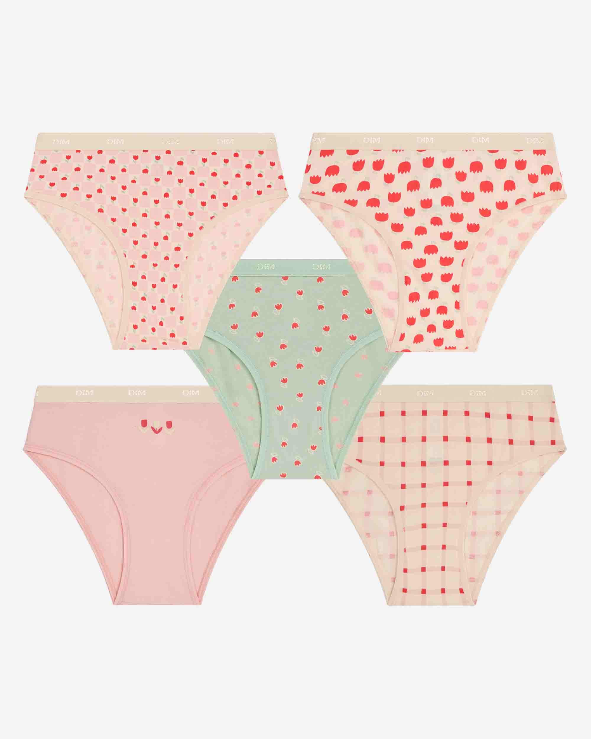 Imagen 0 de Pack de 5 bragas para niña estampadas en algodón elástico Multicolor
