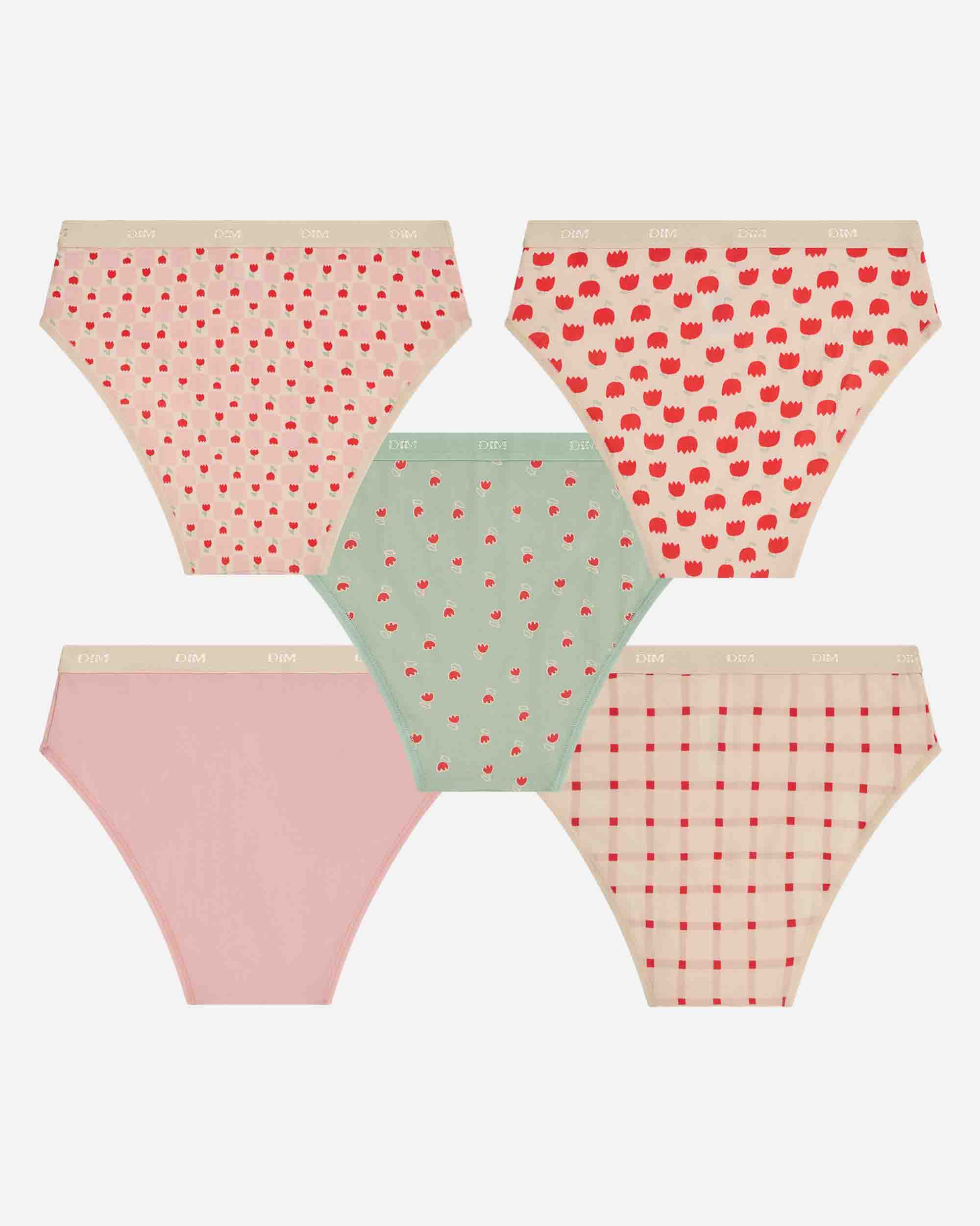 Pack de 5 bragas para niña estampadas en algodón elástico - Dim - Multicolor Multicolor-3