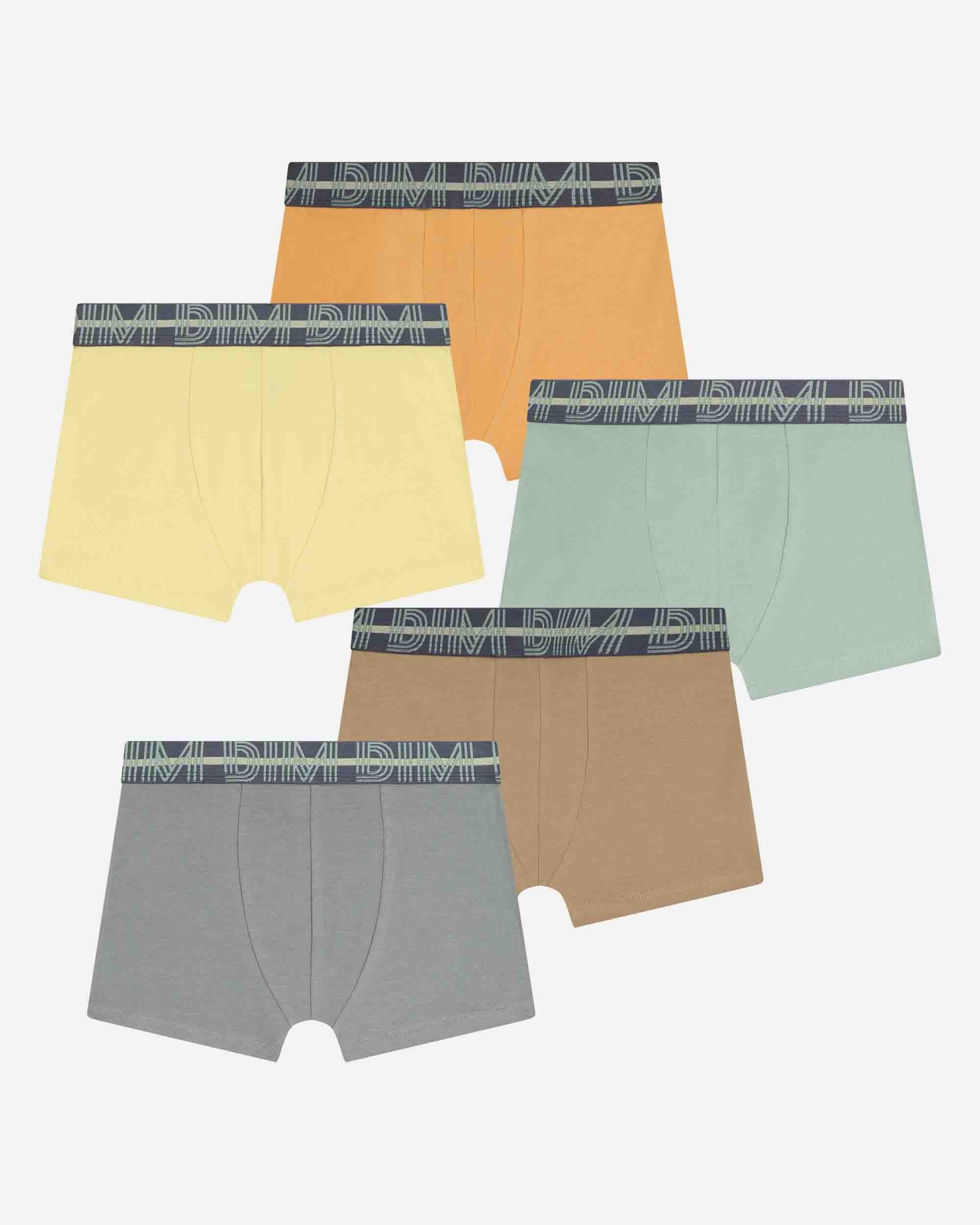 Imagen 0 de Pack de 5 bóxers para niño de algodón elástico Multicolor