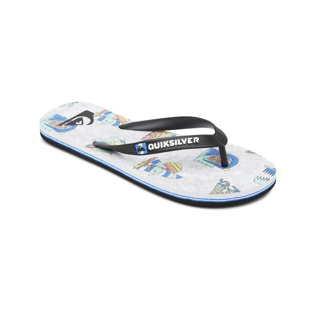 Imagen 0 de Chanclas de hombre Molokai Island Pulse Quiksilver