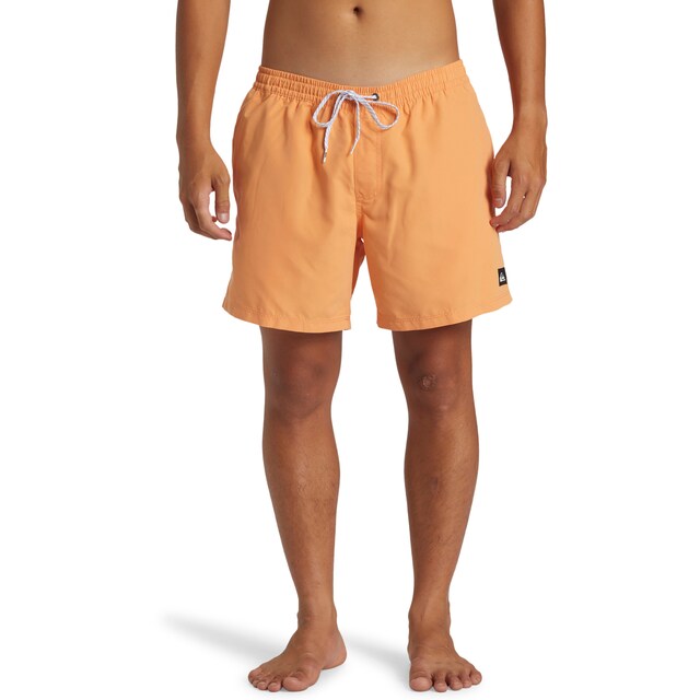 Imagen 0 de Bañador de hombre Everyday Solid Volley 15" Quiksilver