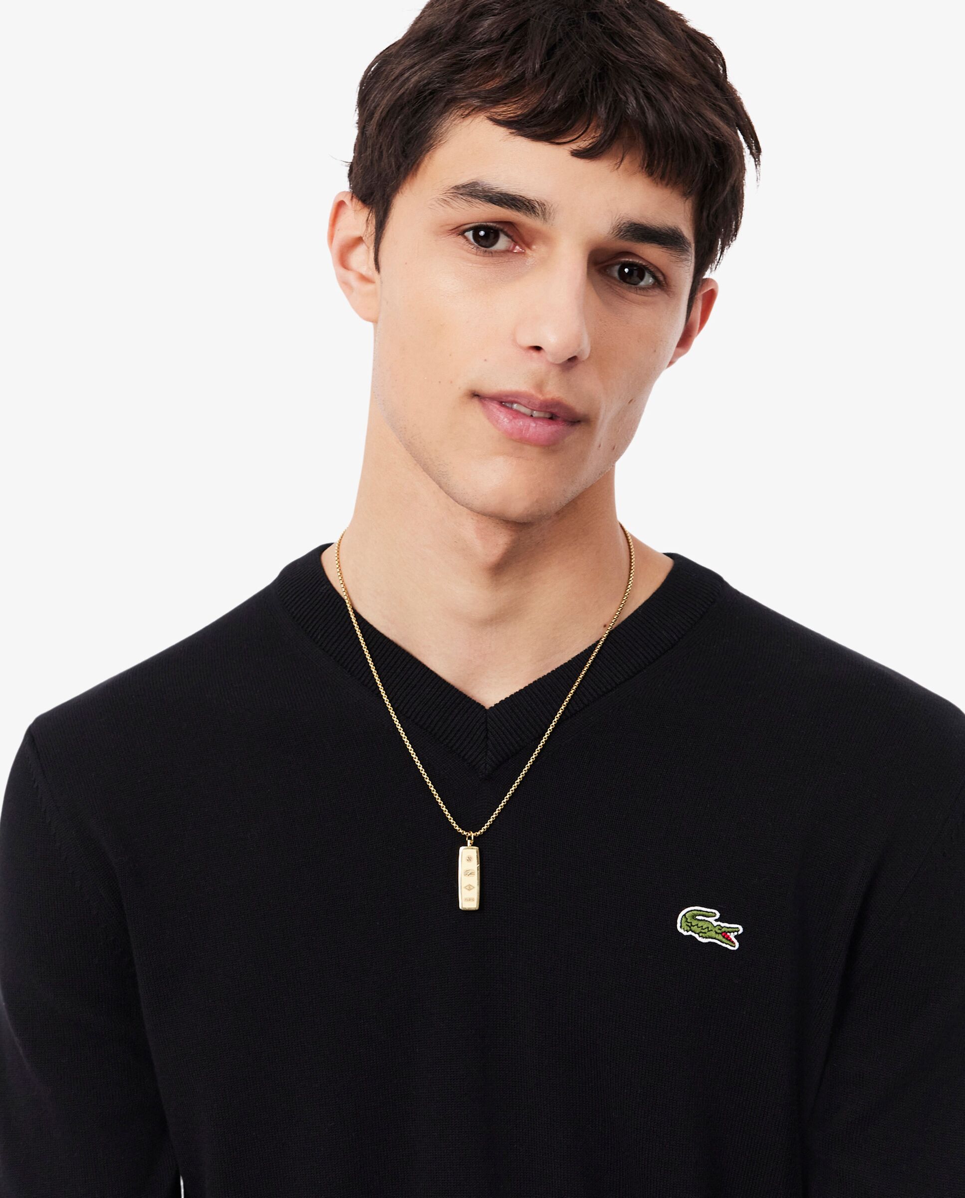 Jersey de hombre de cuello de pico de algodón monocolor - Lacoste - Negro Negro-3