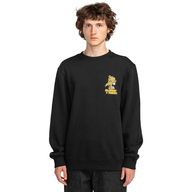 Imagen 0 de Sudadera de hombre Birds Eye Element