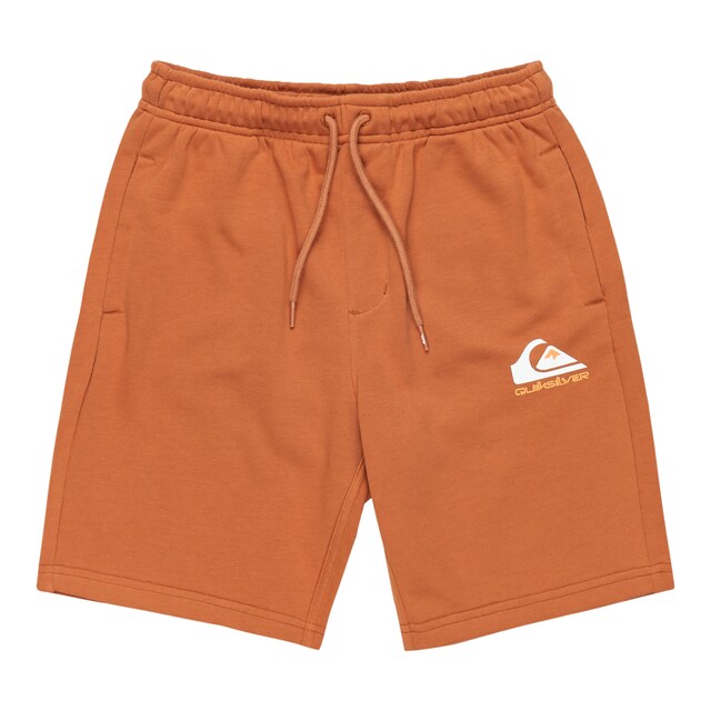 Imagen 0 de Shorts de niños Easy Day Quiksilver