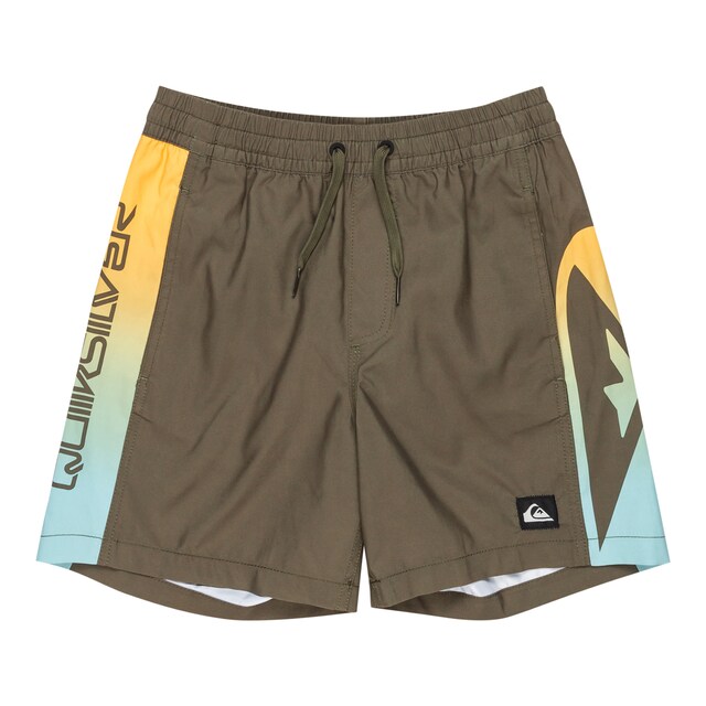 Imagen 0 de Short de Natación de niños Everyday Holmes 14" Quiksilver