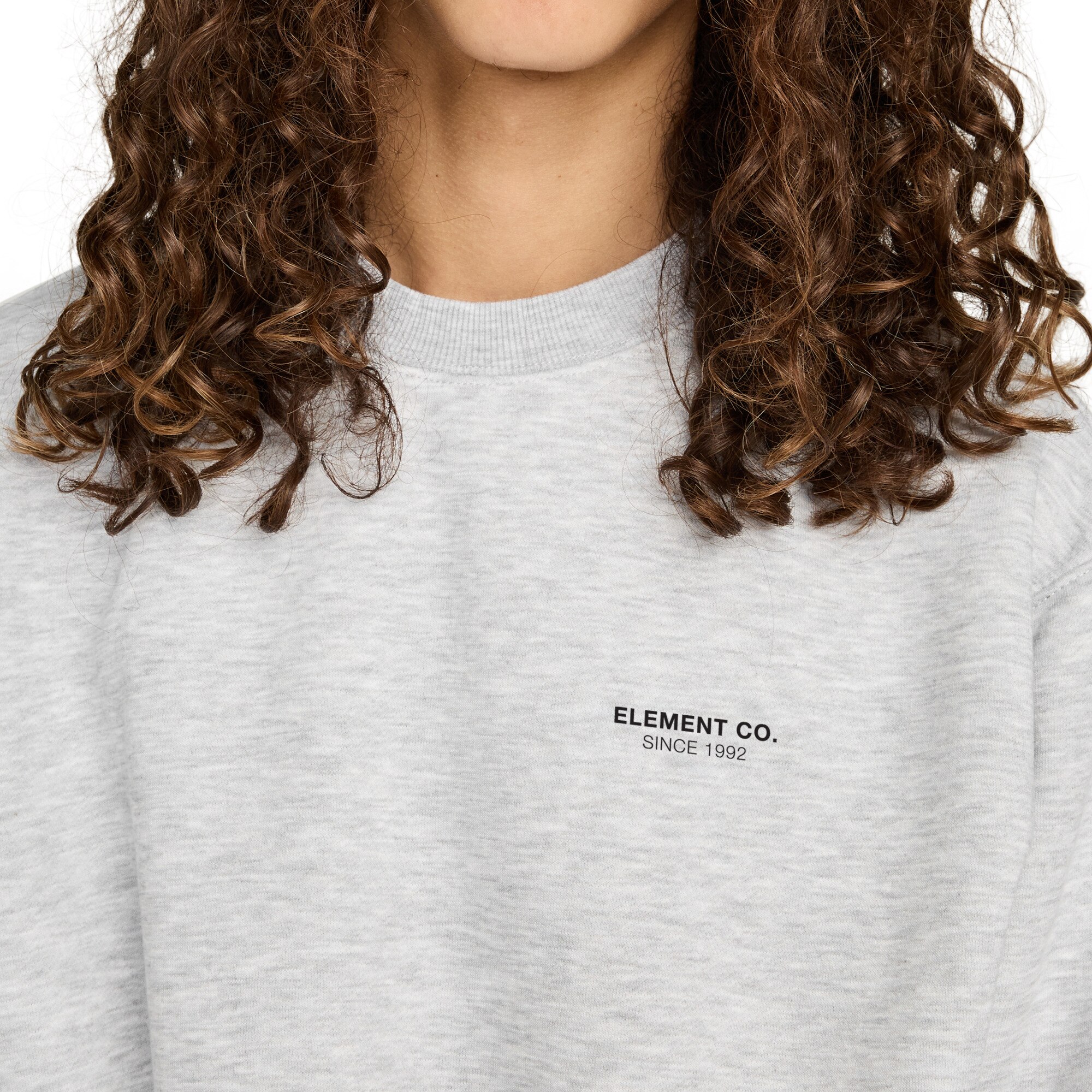 Sudadera de hombre Element Co Cr Element - Gris Gris-4