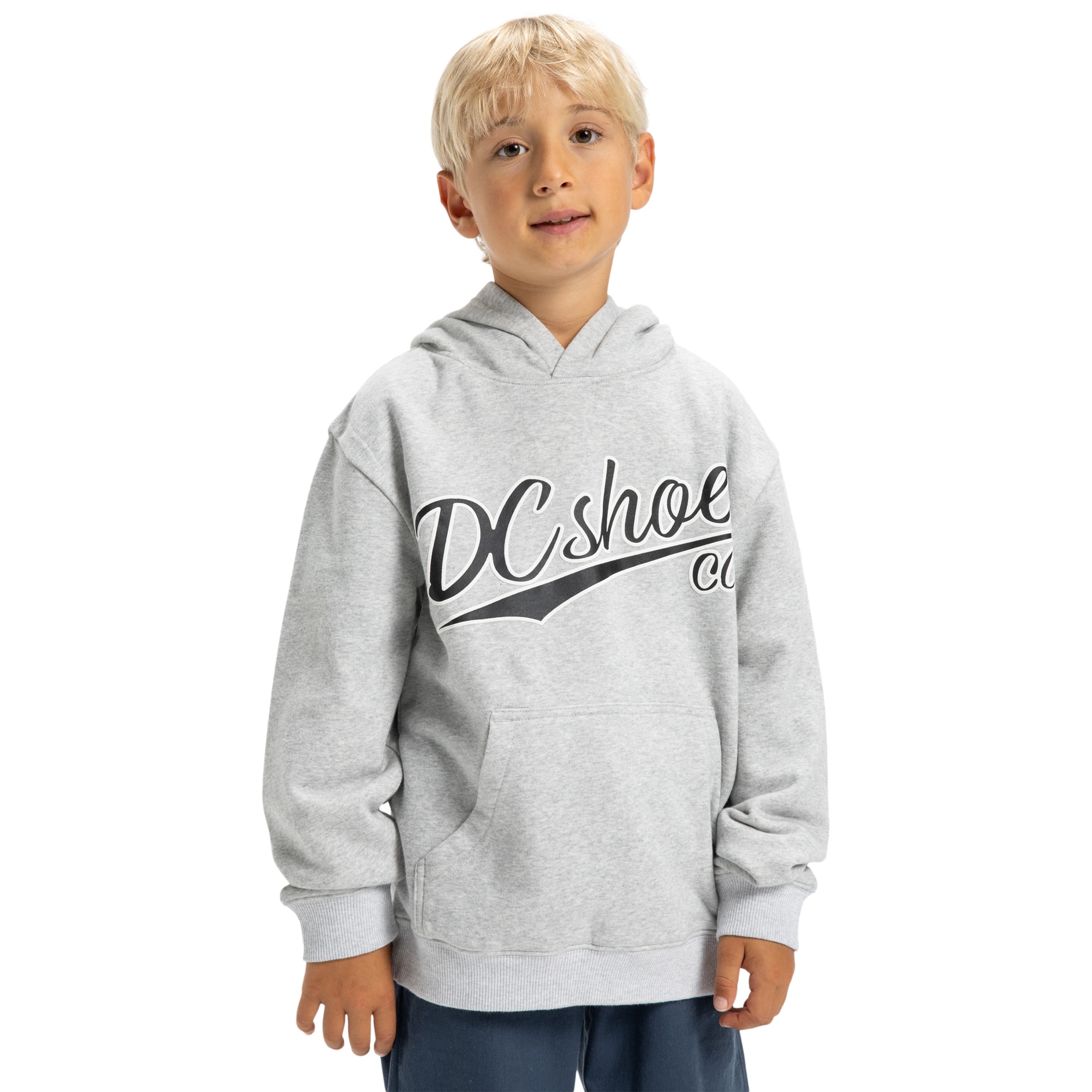 Sudadera de niños Substitute DC Shoes - Gris claro Gris claro-1