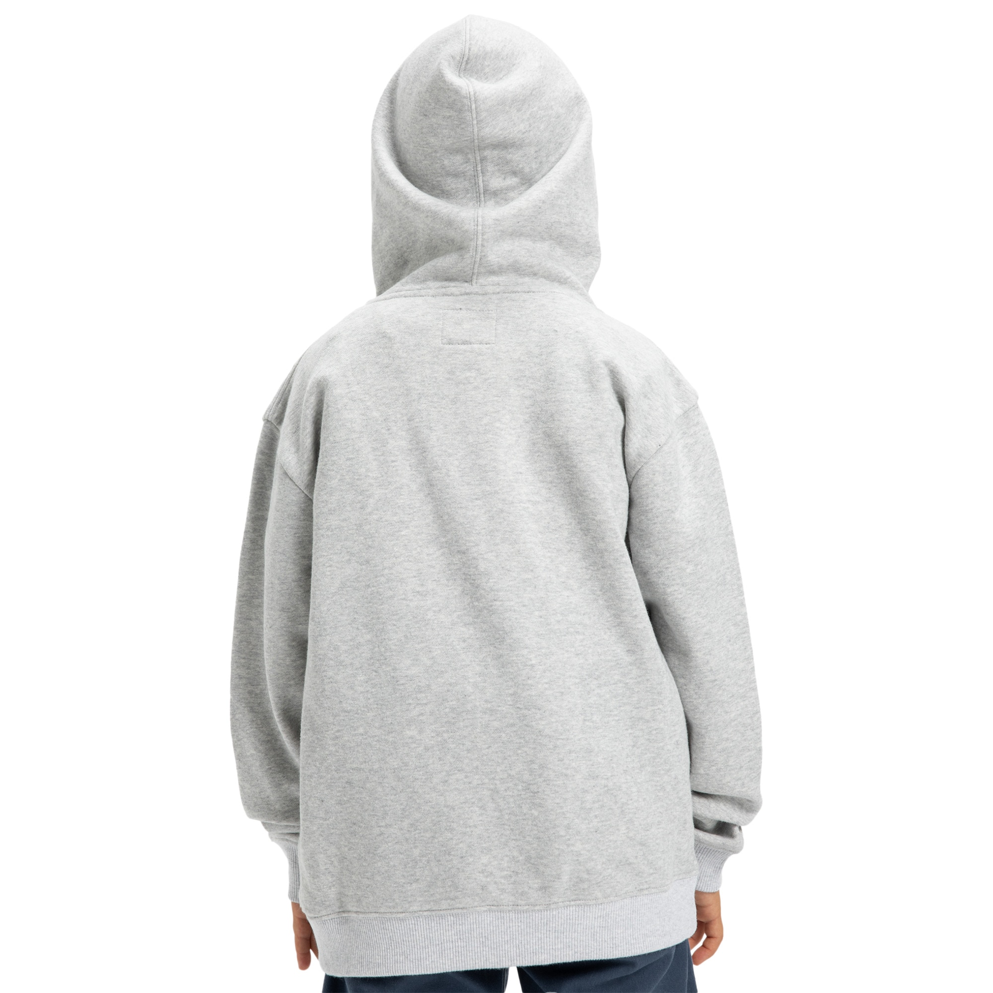 Sudadera de niños Substitute DC Shoes - Gris claro Gris claro-2