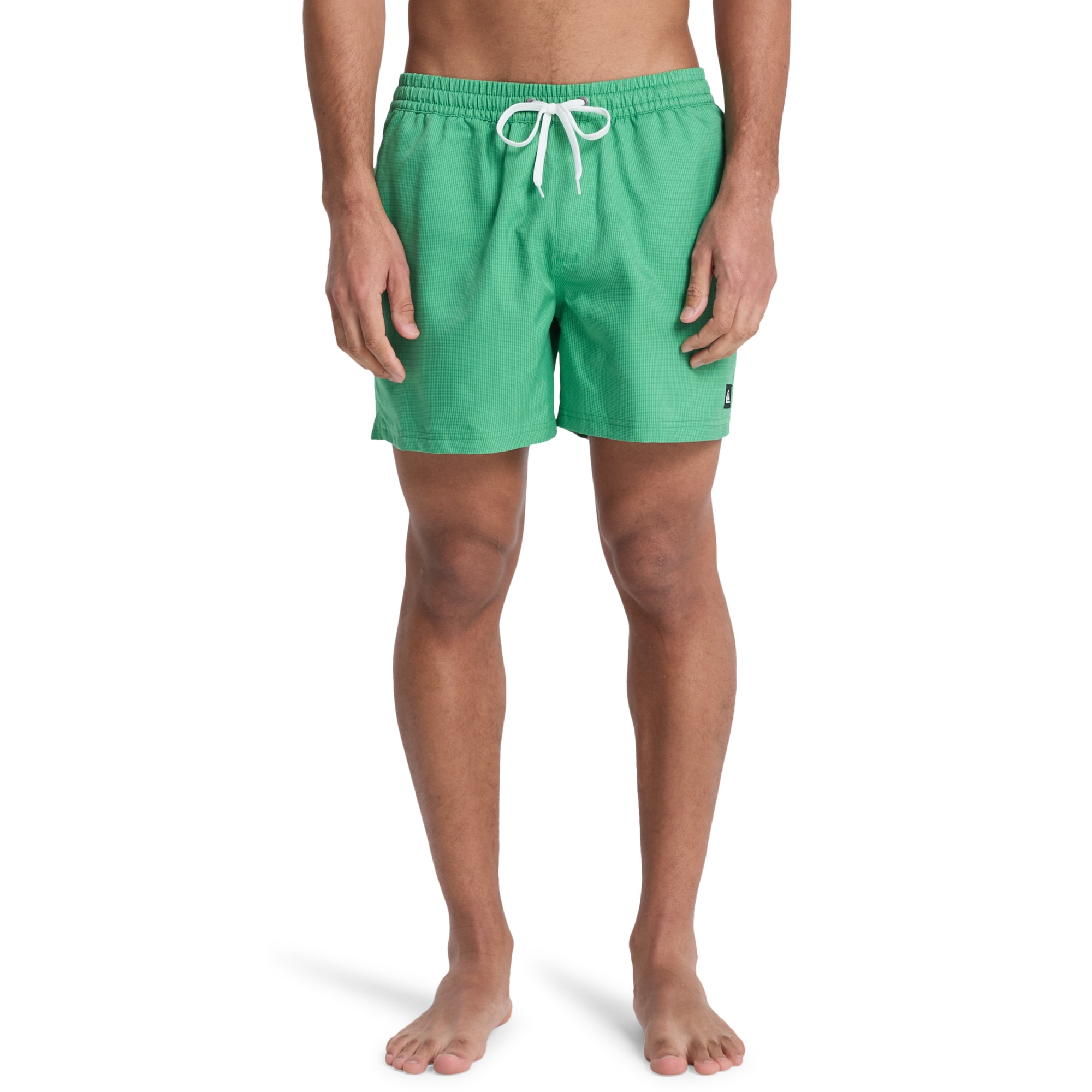 Imagen 2 de Short de Natación de hombre Everyday Deluxe 15" Quiksilver - Verde Verde