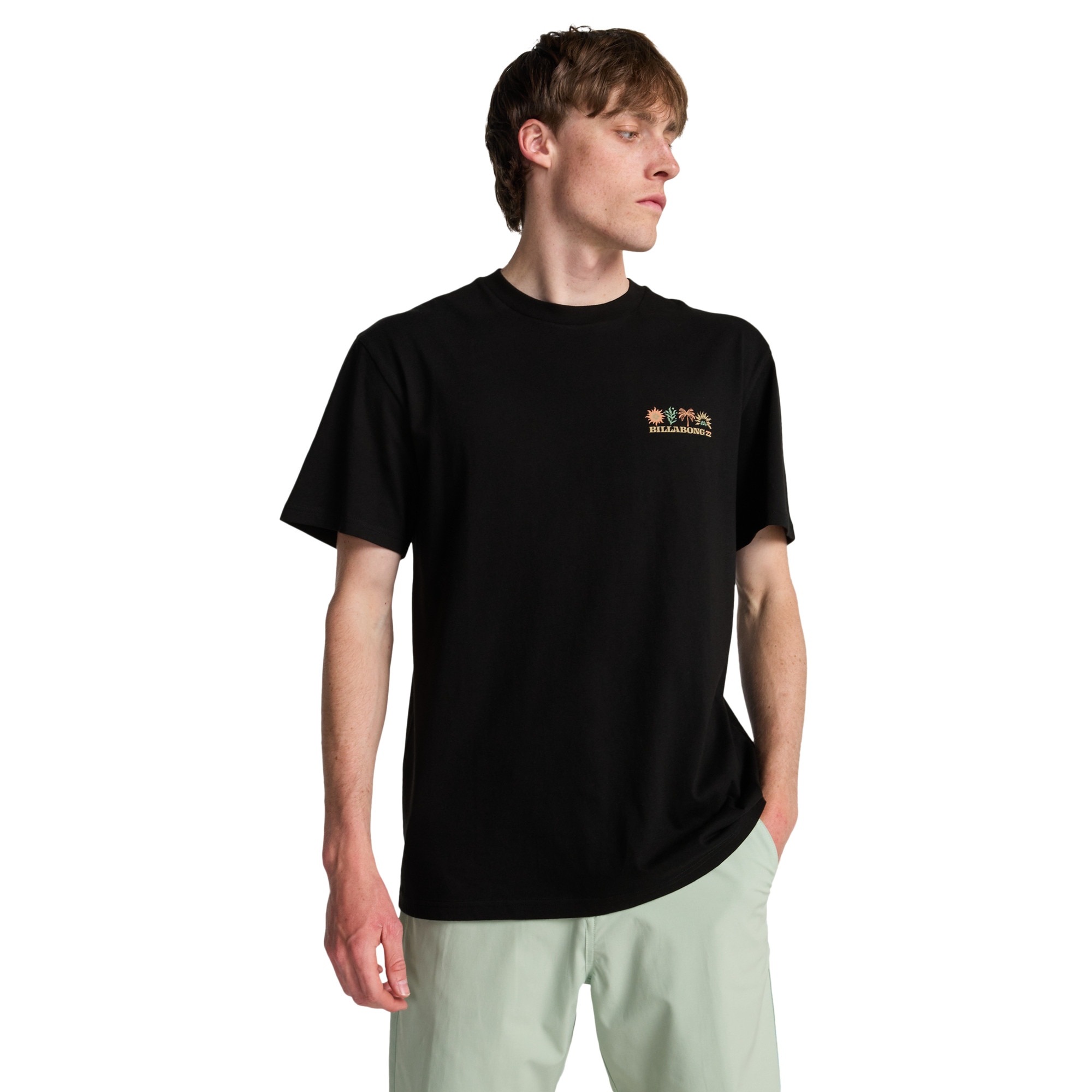 Imagen 0 de Camiseta de hombre Segment Billabong Negro