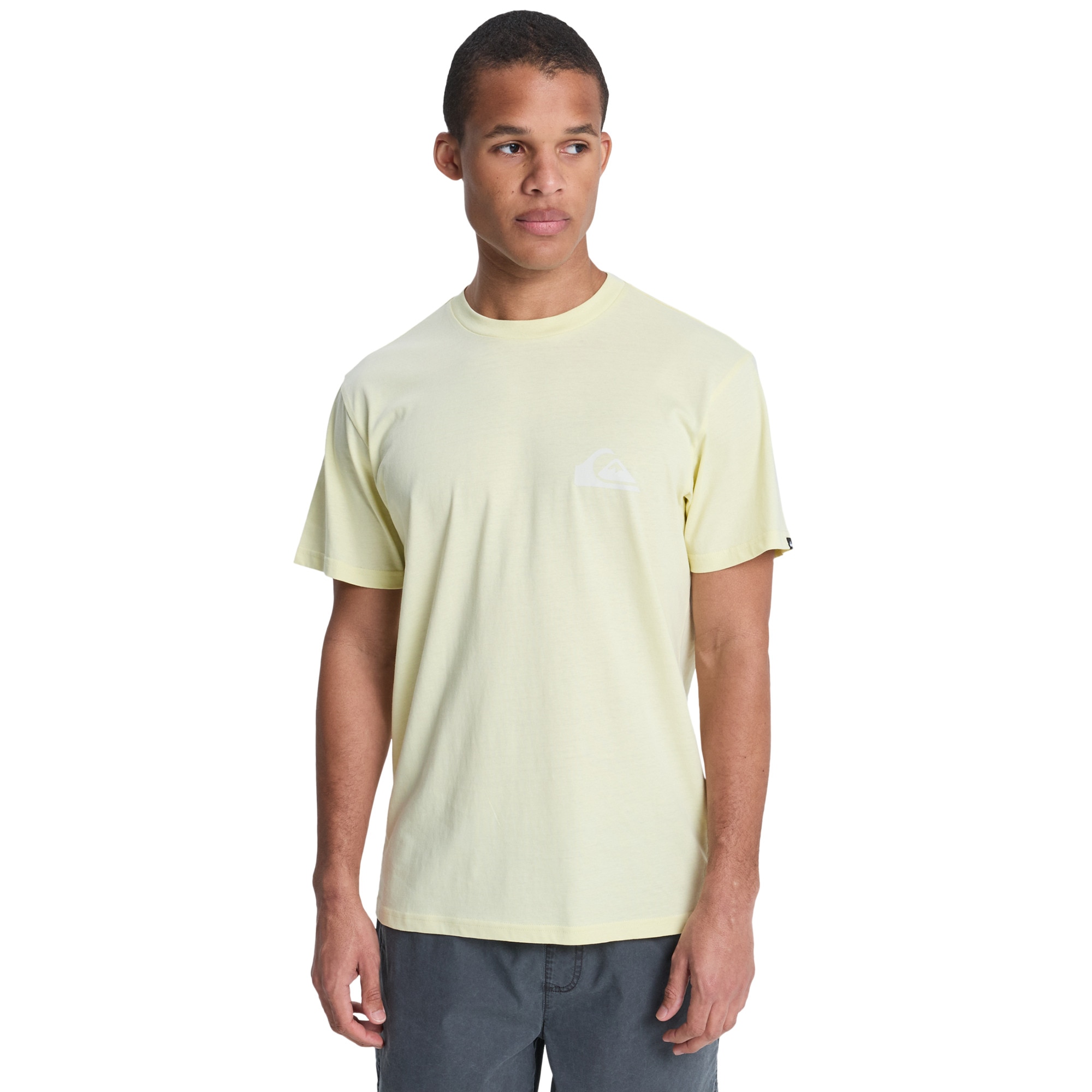 Camiseta de hombre Ev Mini Logo Quiksilver - Verde Verde-1