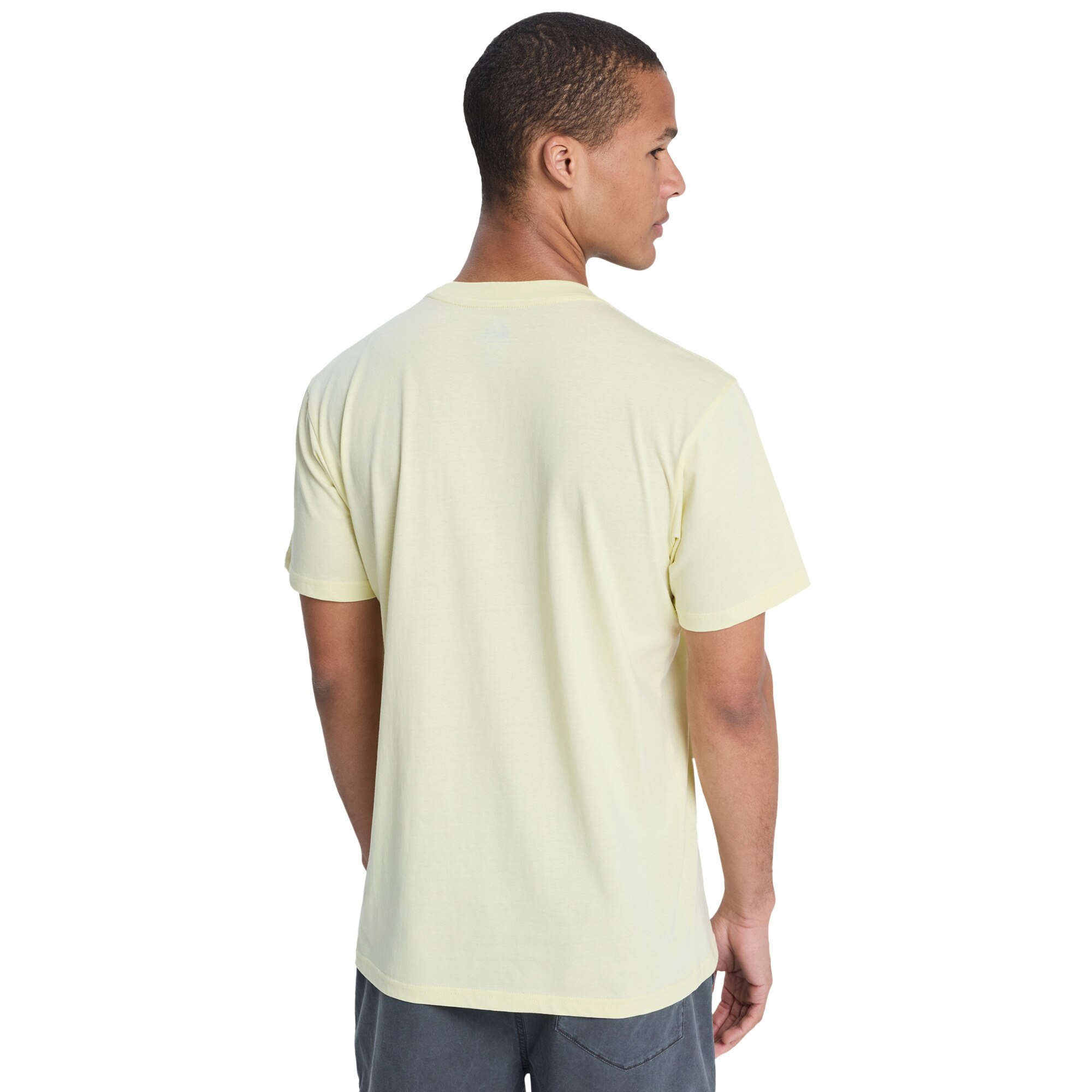Camiseta de hombre Ev Mini Logo Quiksilver - Verde Verde-2